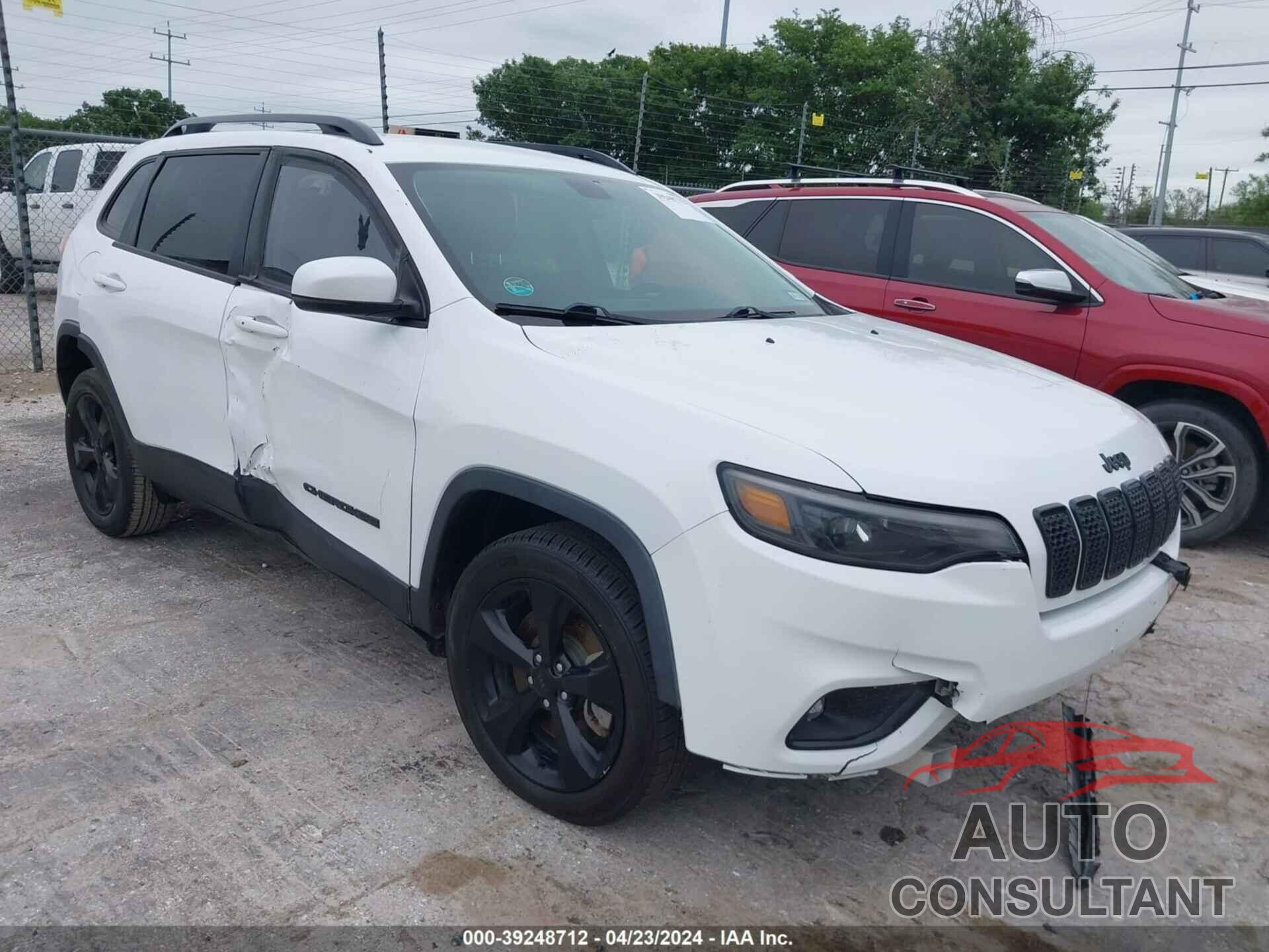 JEEP CHEROKEE 2019 - 1C4PJLLB3KD466365