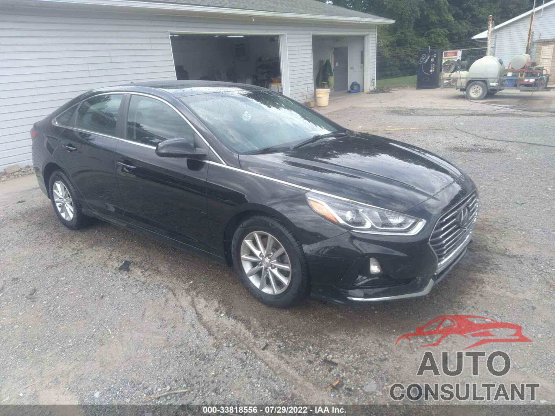 HYUNDAI SONATA 2019 - 5NPE24AF5KH781680