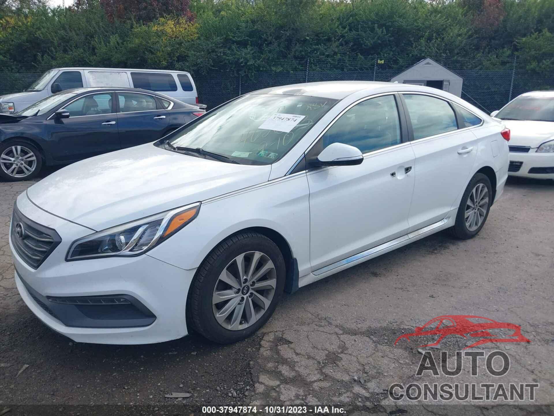 HYUNDAI SONATA 2017 - 5NPE34AF1HH462833