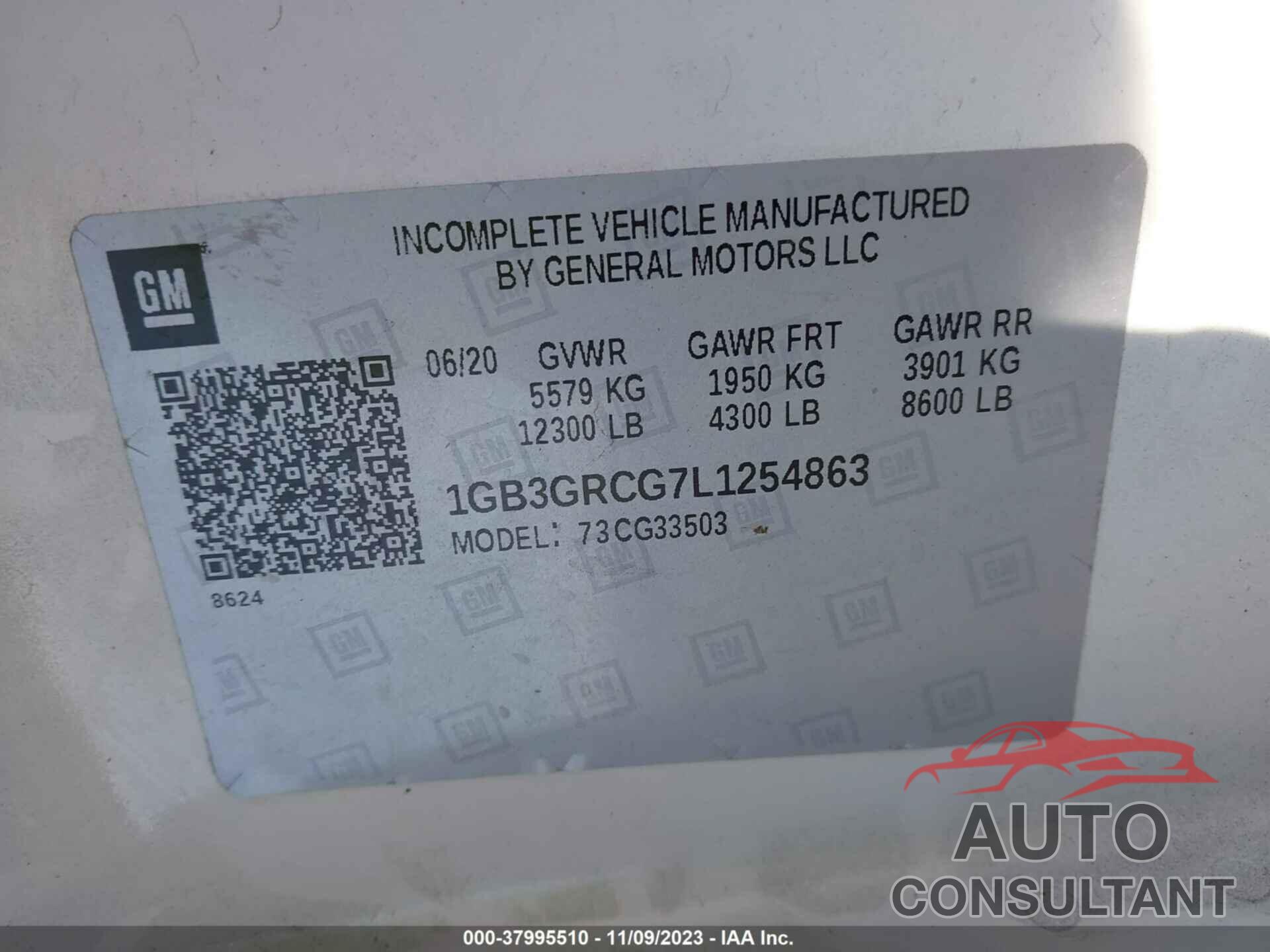 CHEVROLET EXPRESS COMMERCIAL 2020 - 1GB3GRCG7L1254863