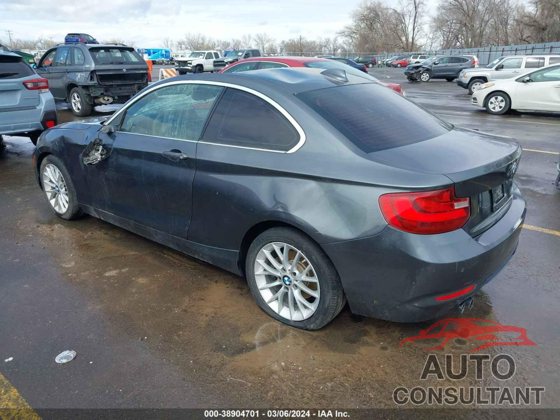 BMW 228 2016 - WBA1F9C50GV544300