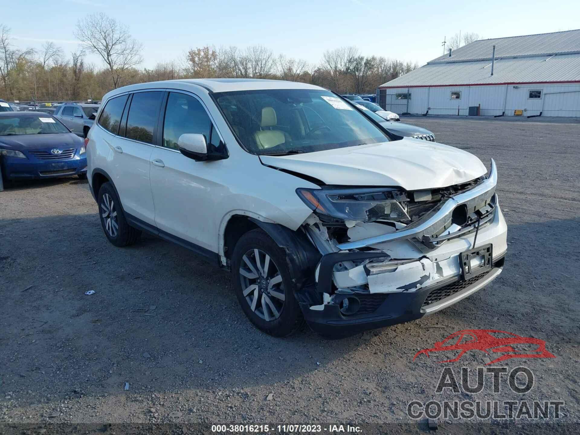 HONDA PILOT 2019 - 5FNYF6H50KB051989