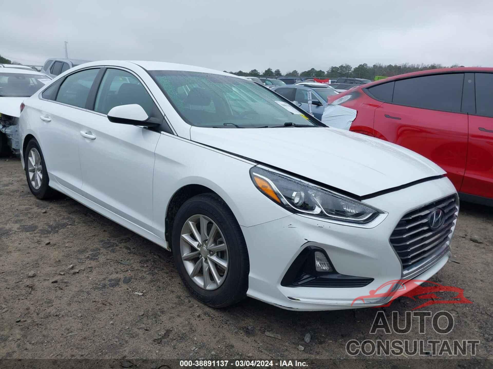 HYUNDAI SONATA 2019 - 5NPE24AF1KH777044