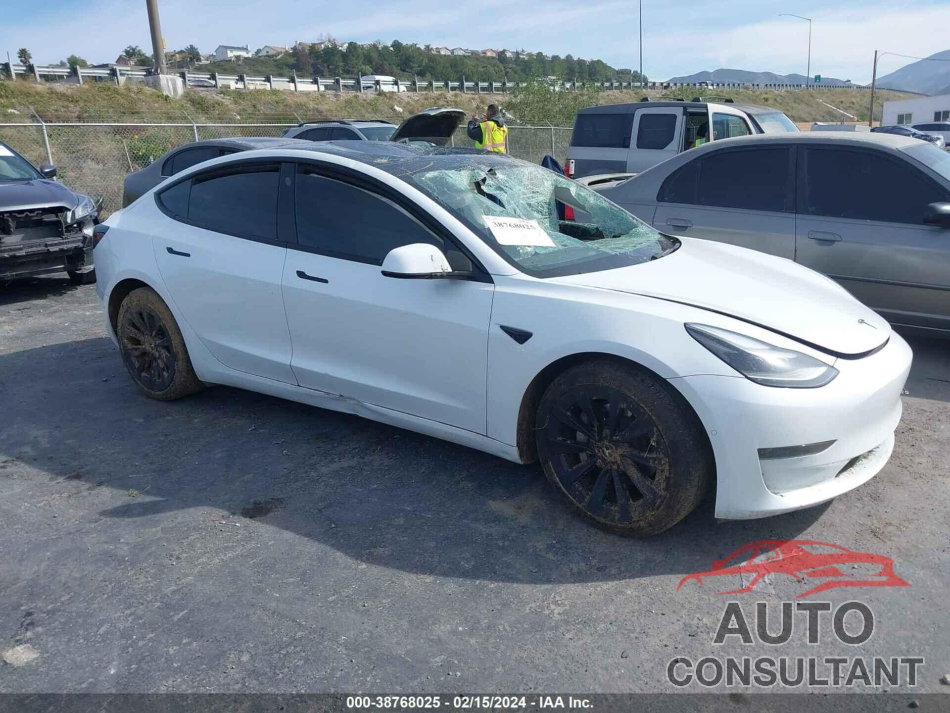 TESLA MODEL 3 2021 - 5YJ3E1EA1MF066084
