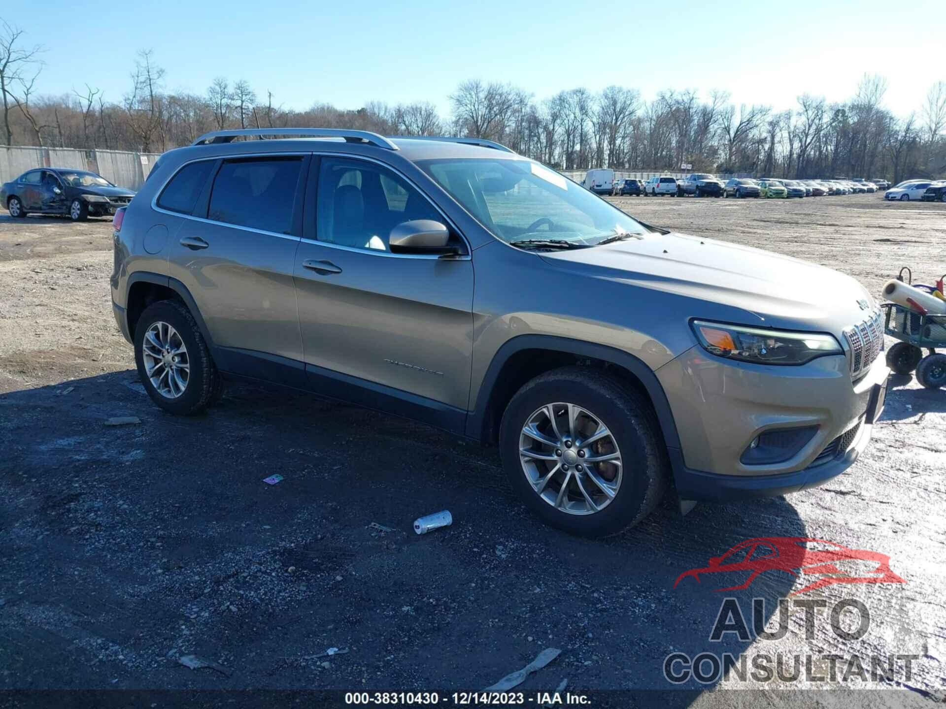 JEEP CHEROKEE 2019 - 1C4PJMLX0KD138130