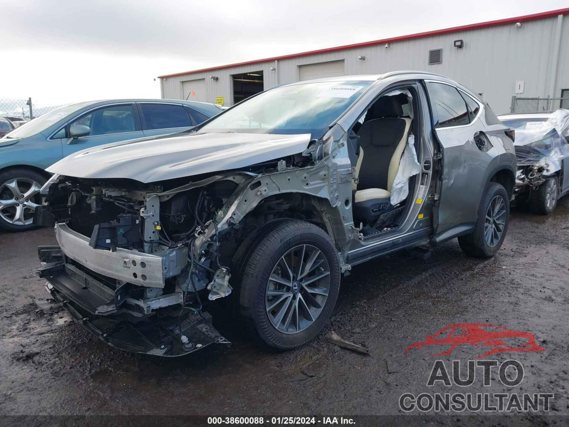 LEXUS NX 350 2022 - 2T2GGCEZ6NC007644