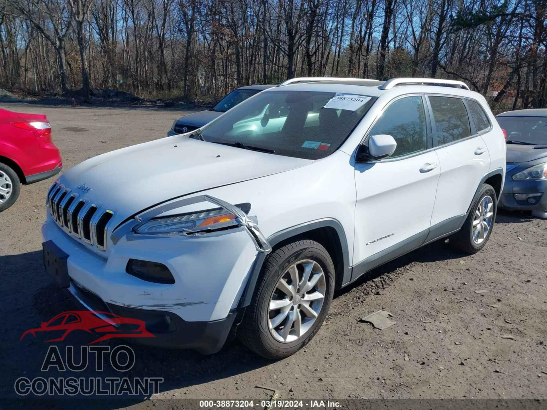 JEEP CHEROKEE 2016 - 1C4PJMDS8GW139699