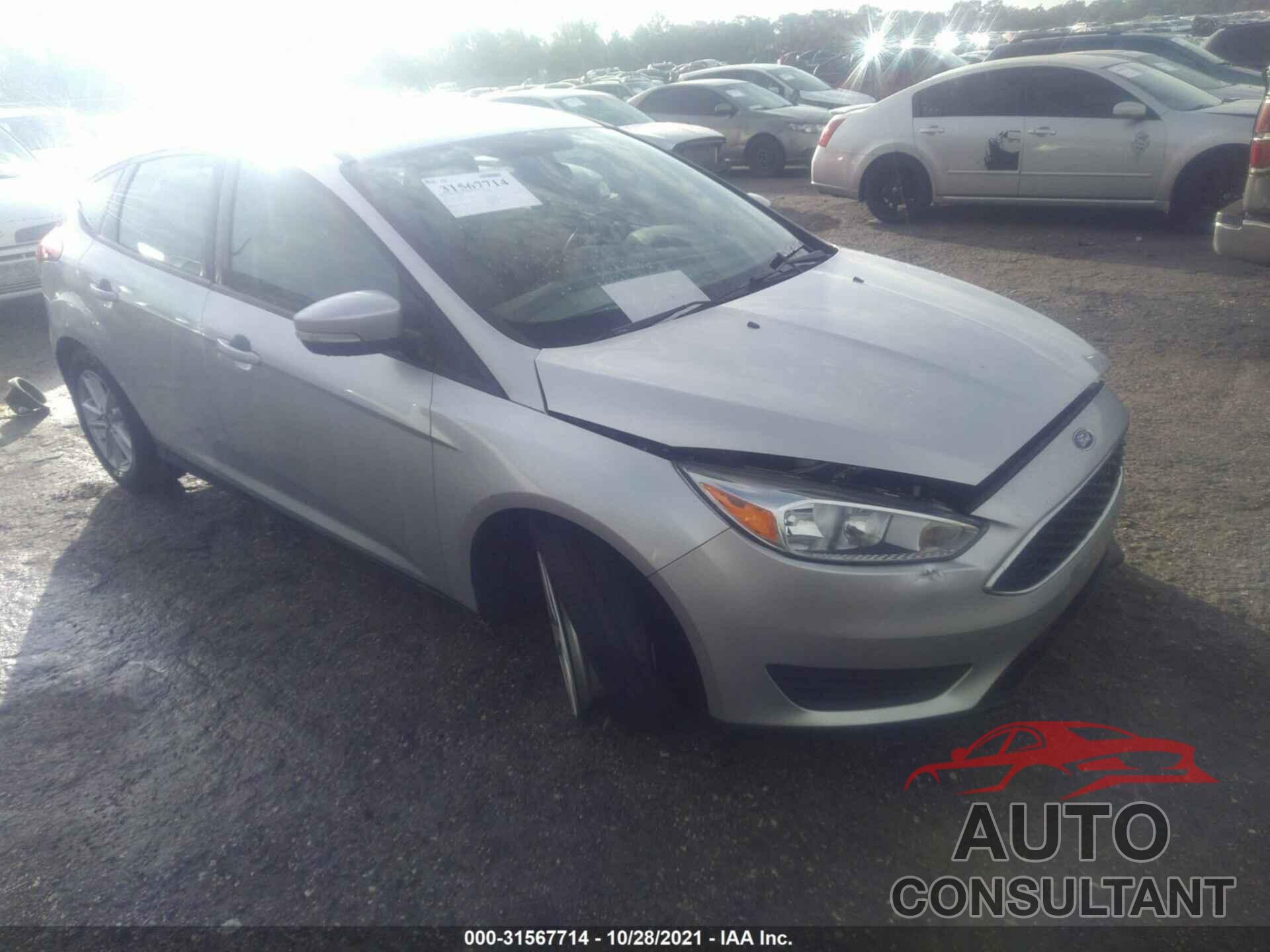 FORD FOCUS 2016 - 1FADP3K29GL319604