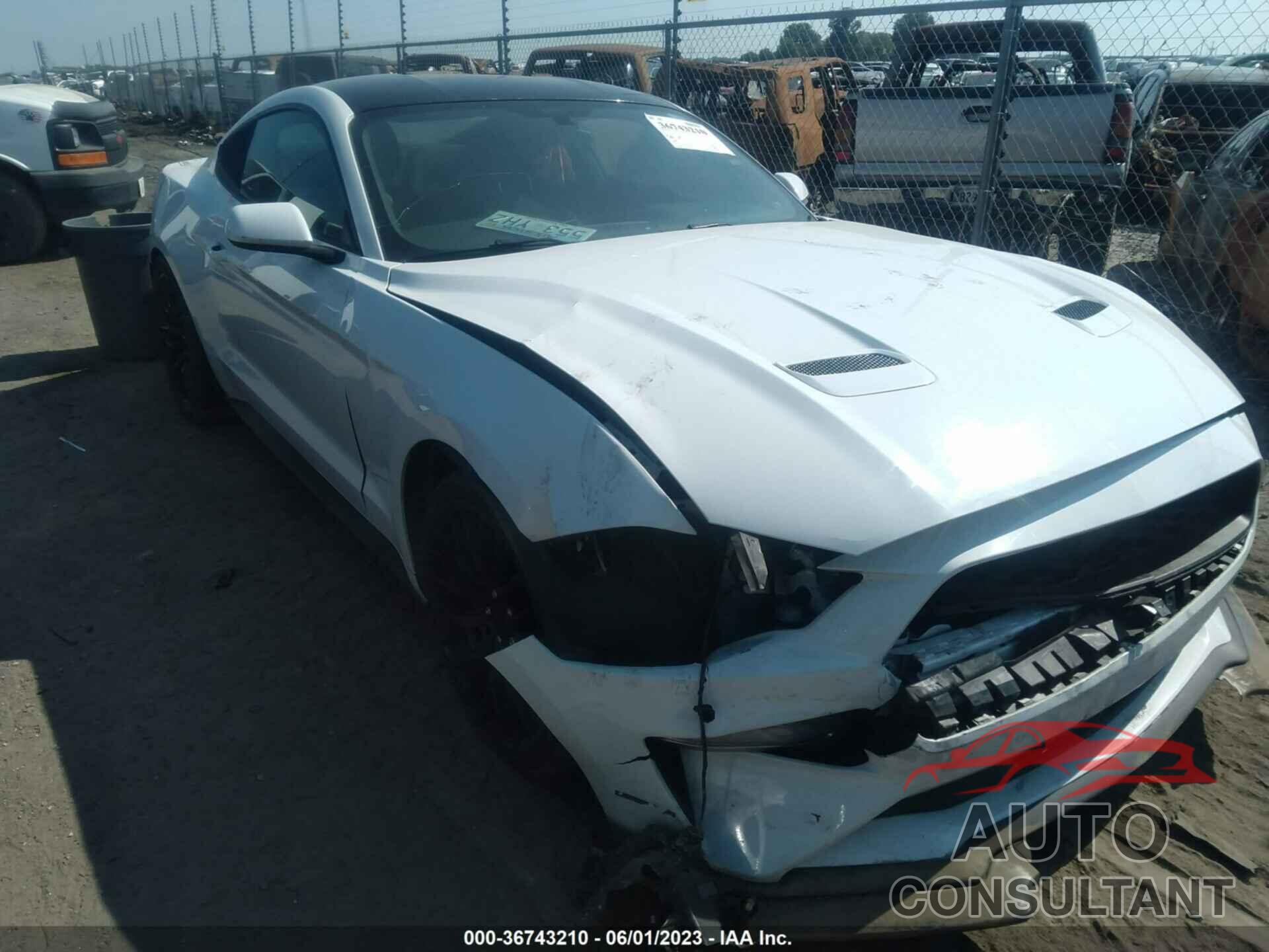 FORD MUSTANG 2019 - 1FA6P8TH4K5166815