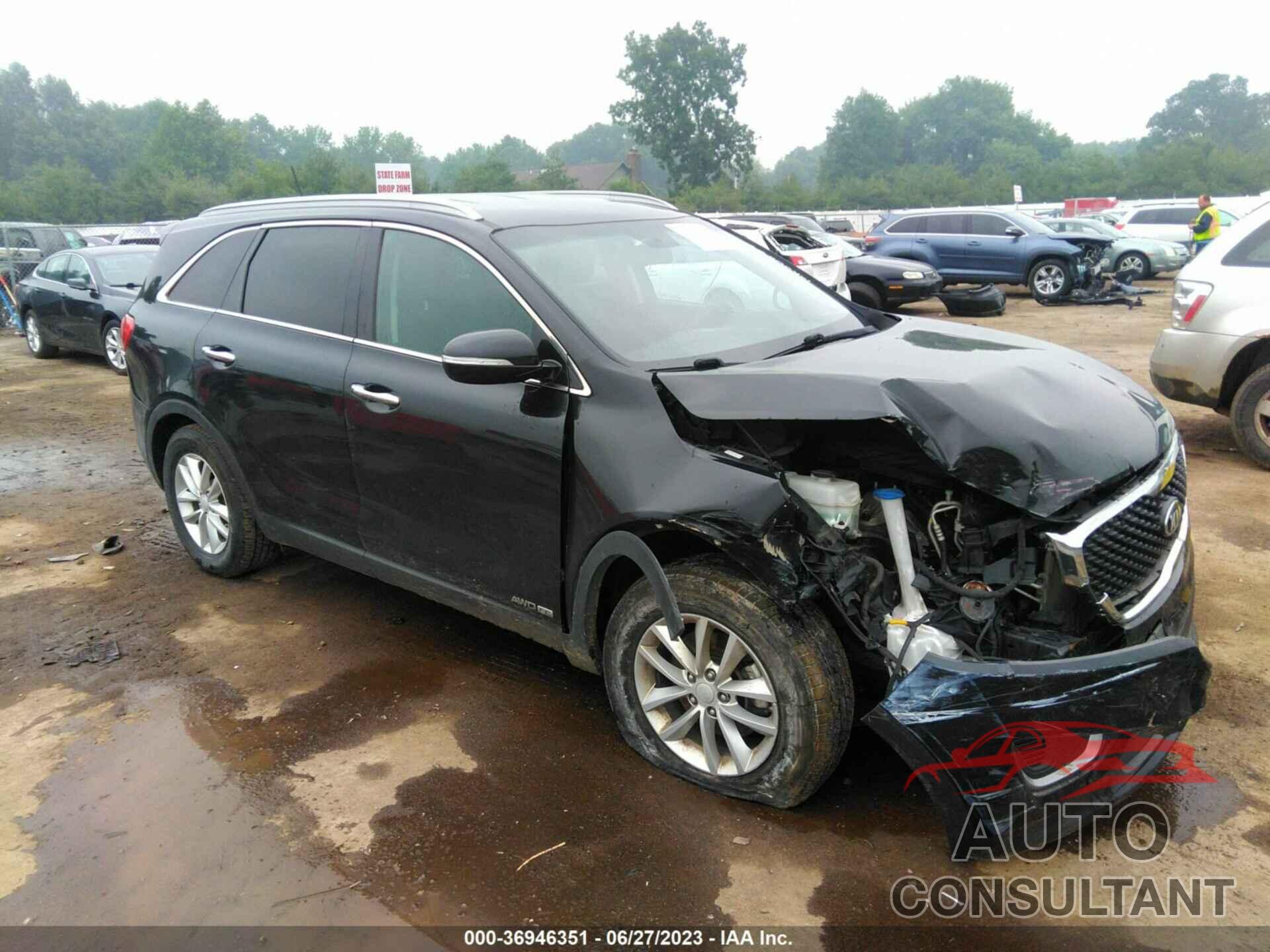 KIA SORENTO 2017 - 5XYPGDA52HG211704