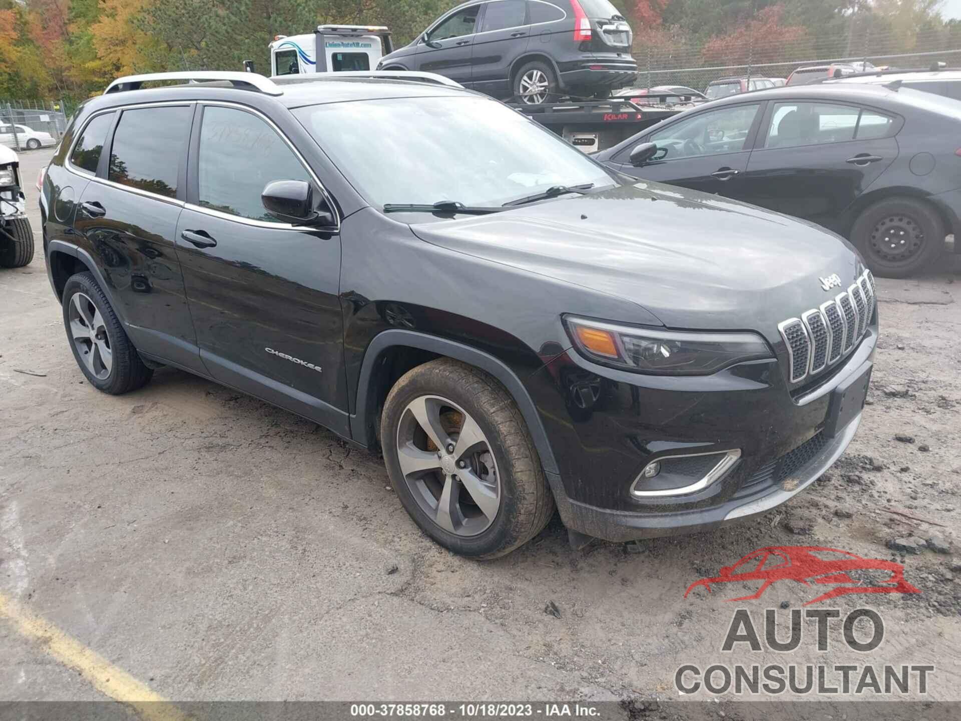 JEEP CHEROKEE 2019 - 1C4PJLDB6KD170206