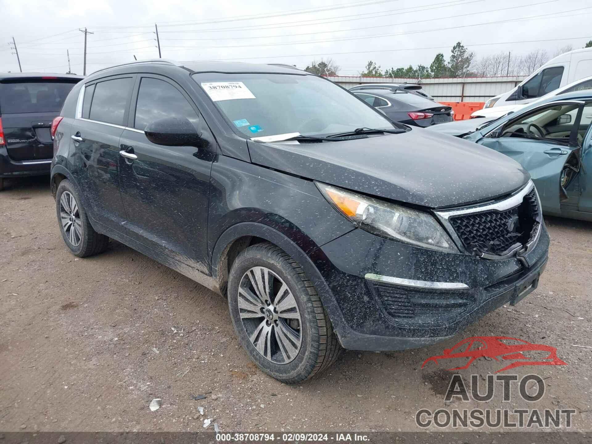 KIA SPORTAGE 2016 - KNDPC3AC6G7860955