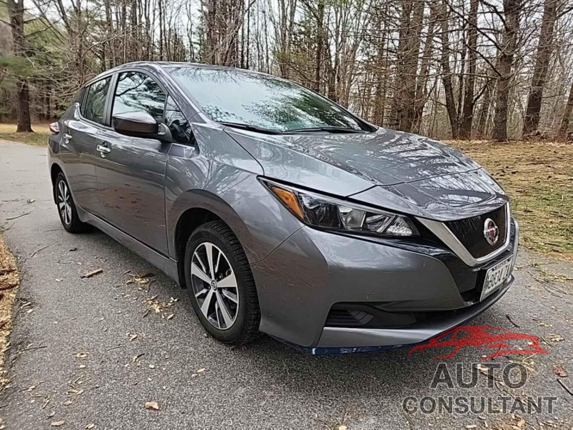 NISSAN LEAF 2022 - 1N4BZ1BV0NC559041