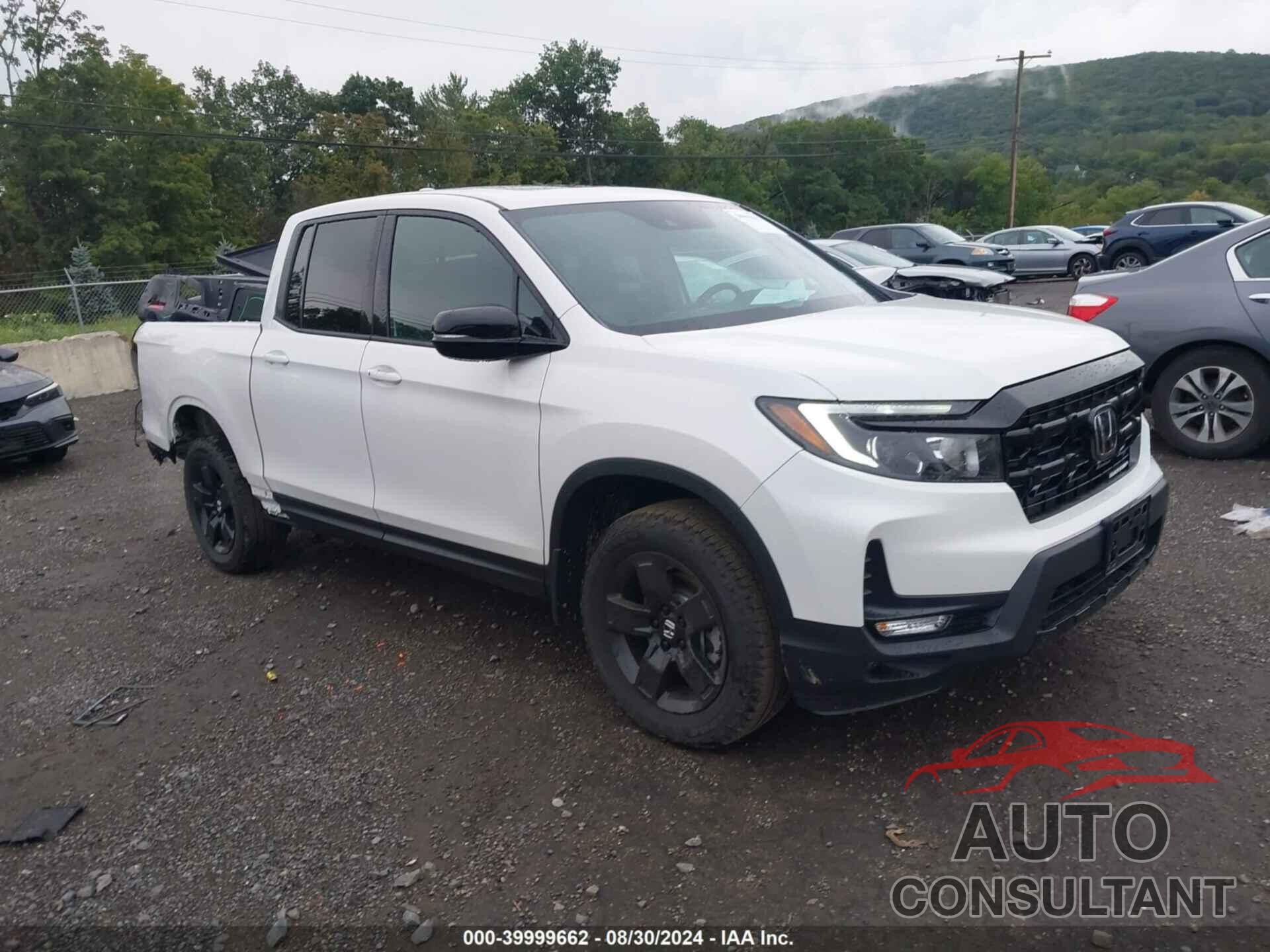 HONDA RIDGELINE 2024 - 5FPYK3F89RB020426