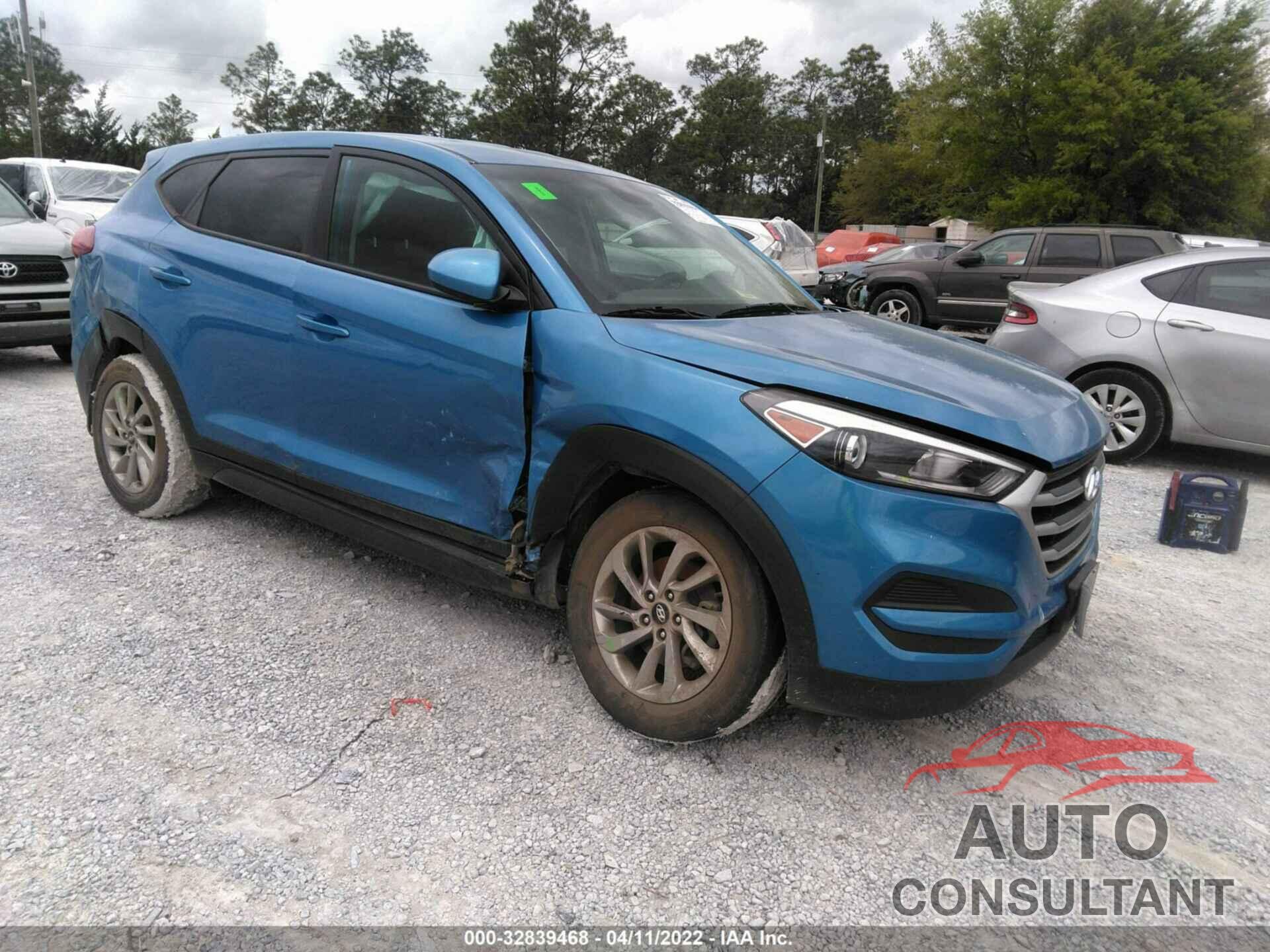 HYUNDAI TUCSON 2017 - KM8J23A42HU495187