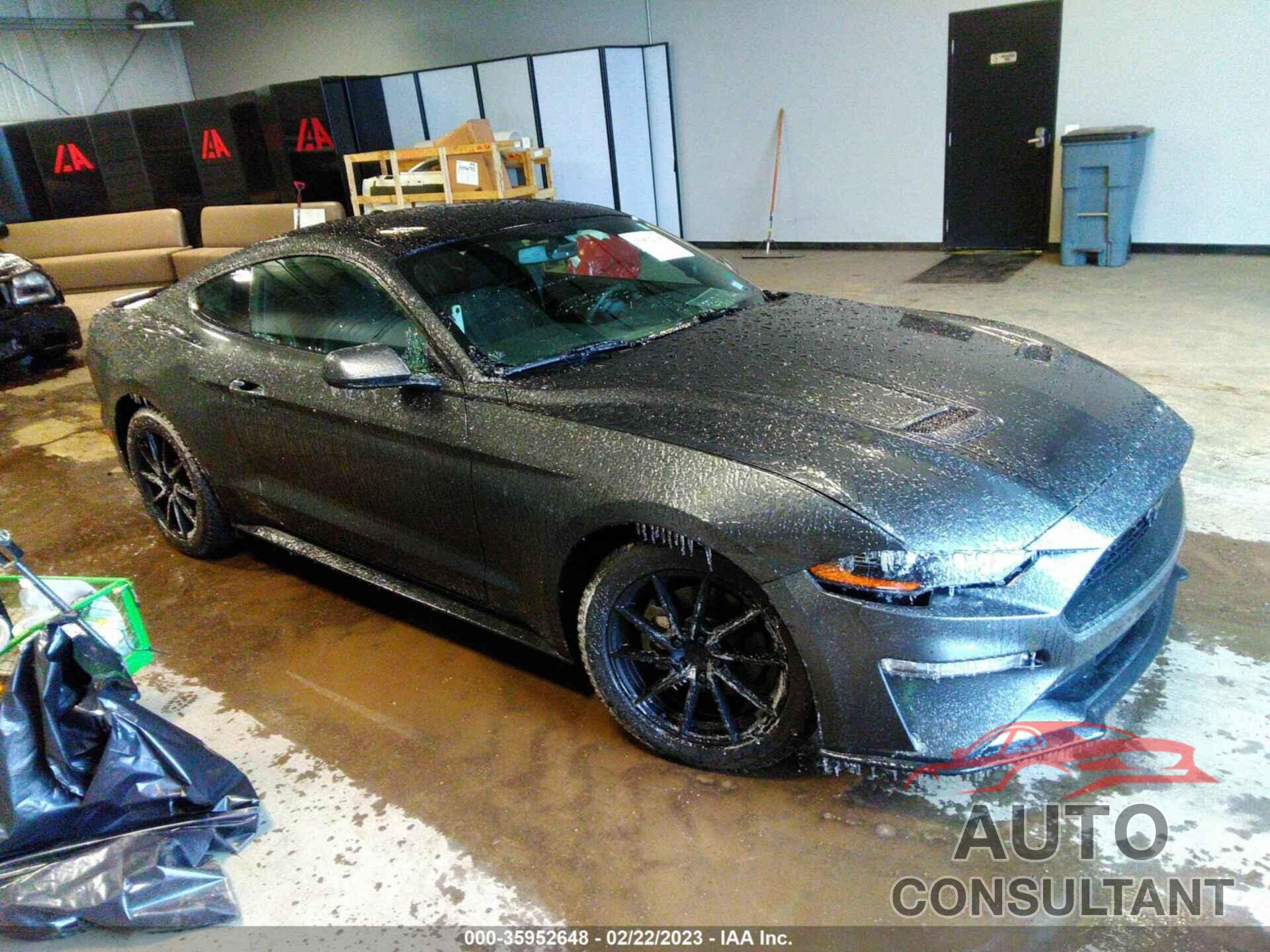 FORD MUSTANG 2019 - 1FA6P8THXK5134080