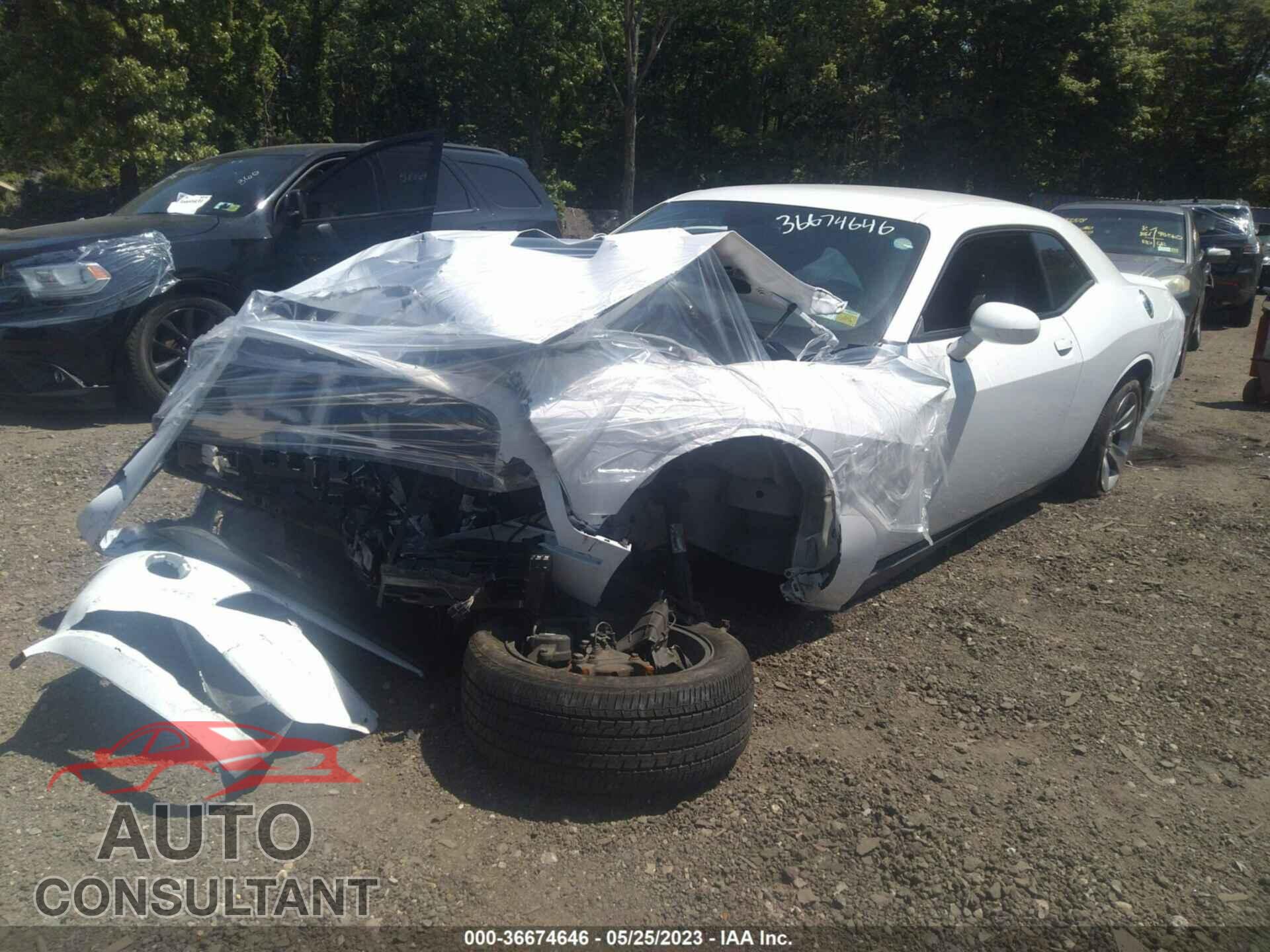 DODGE CHALLENGER 2019 - 2C3CDZAG8KH723342