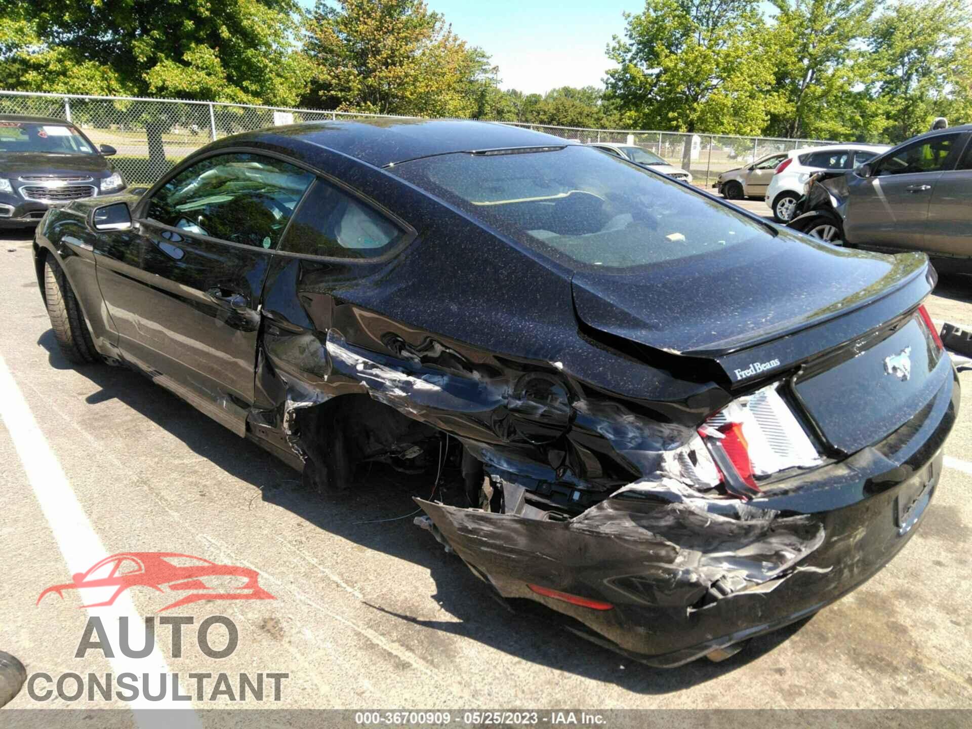FORD MUSTANG 2017 - 1FA6P8TH7H5329403