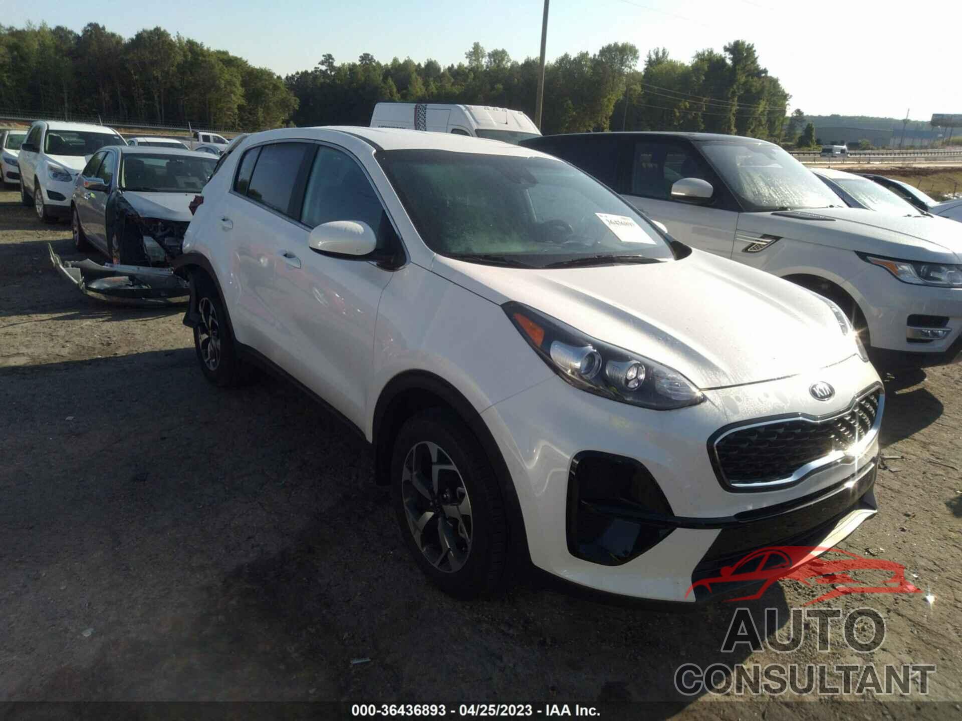 KIA SPORTAGE 2022 - KNDPM3AC1N7026375