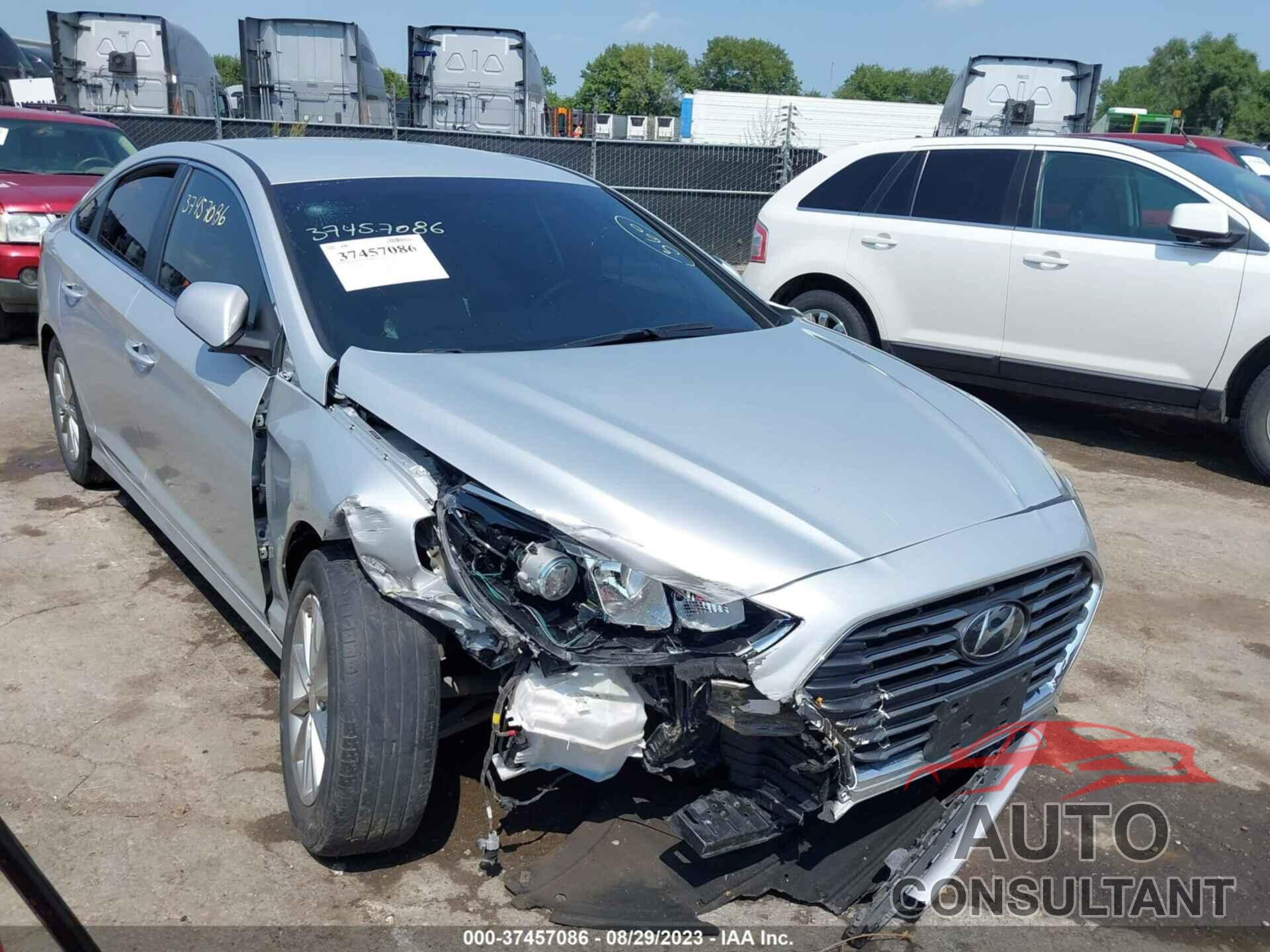 HYUNDAI SONATA 2019 - 5NPE24AF1KH799982