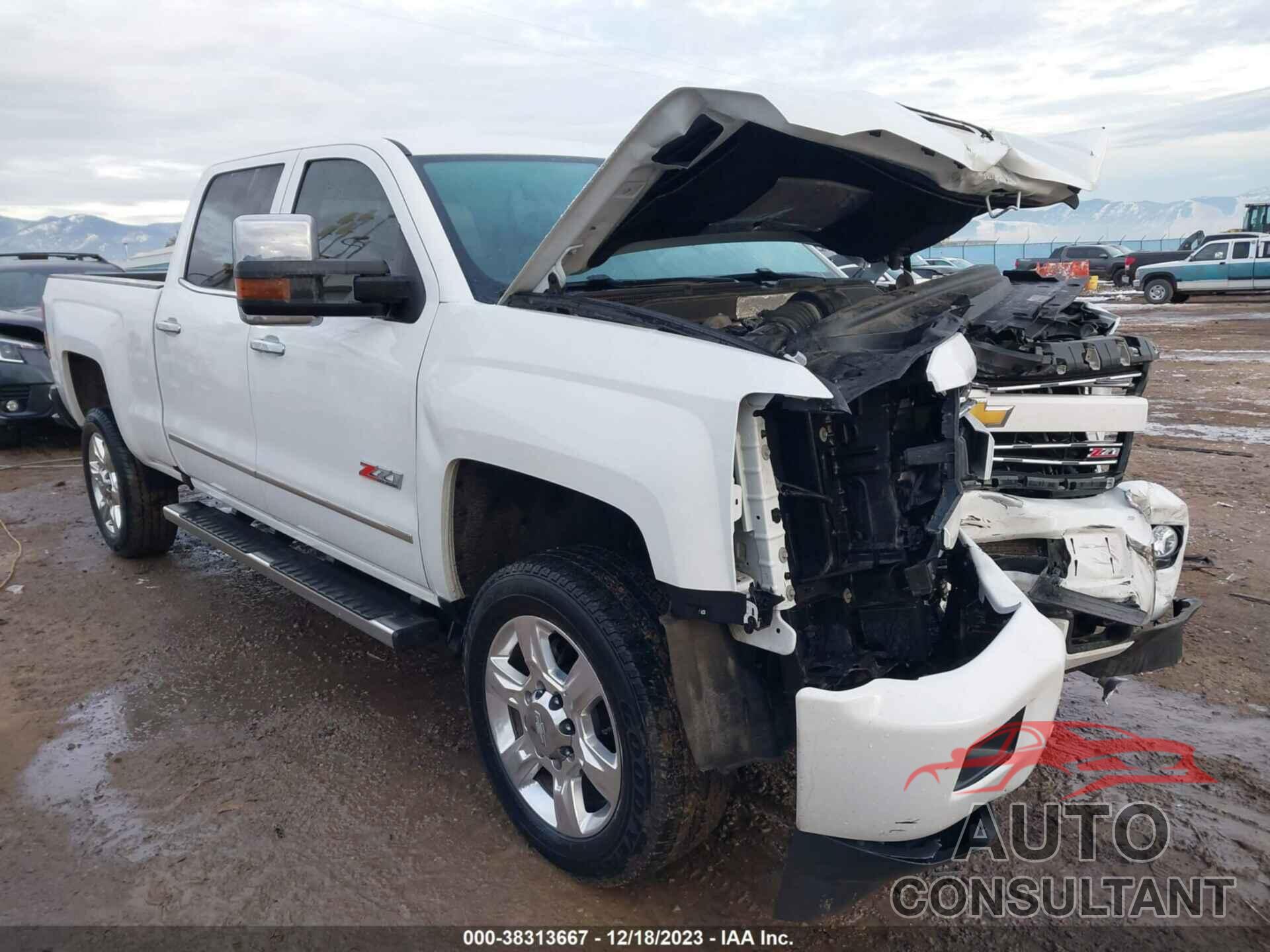 CHEVROLET SILVERADO 2019 - 1GC1KTEY6KF152332