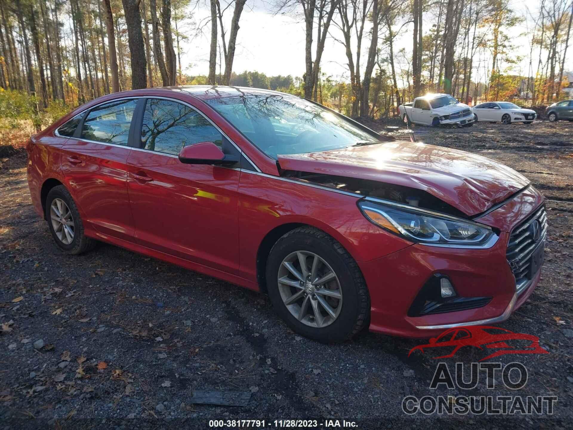 HYUNDAI SONATA 2019 - 5NPE24AF8KH782919