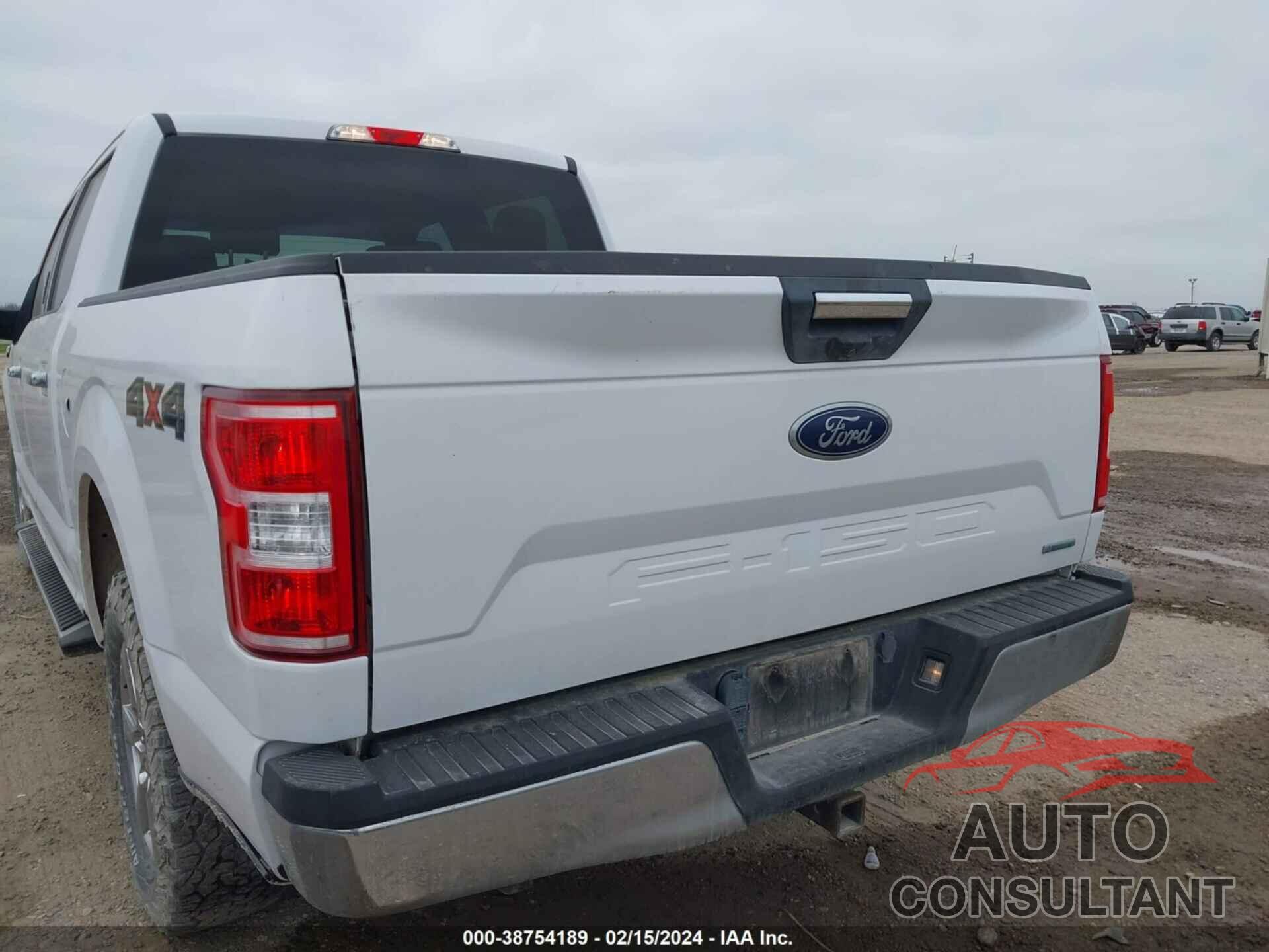 FORD F150 2019 - 1FTEW1EP5KKD29686