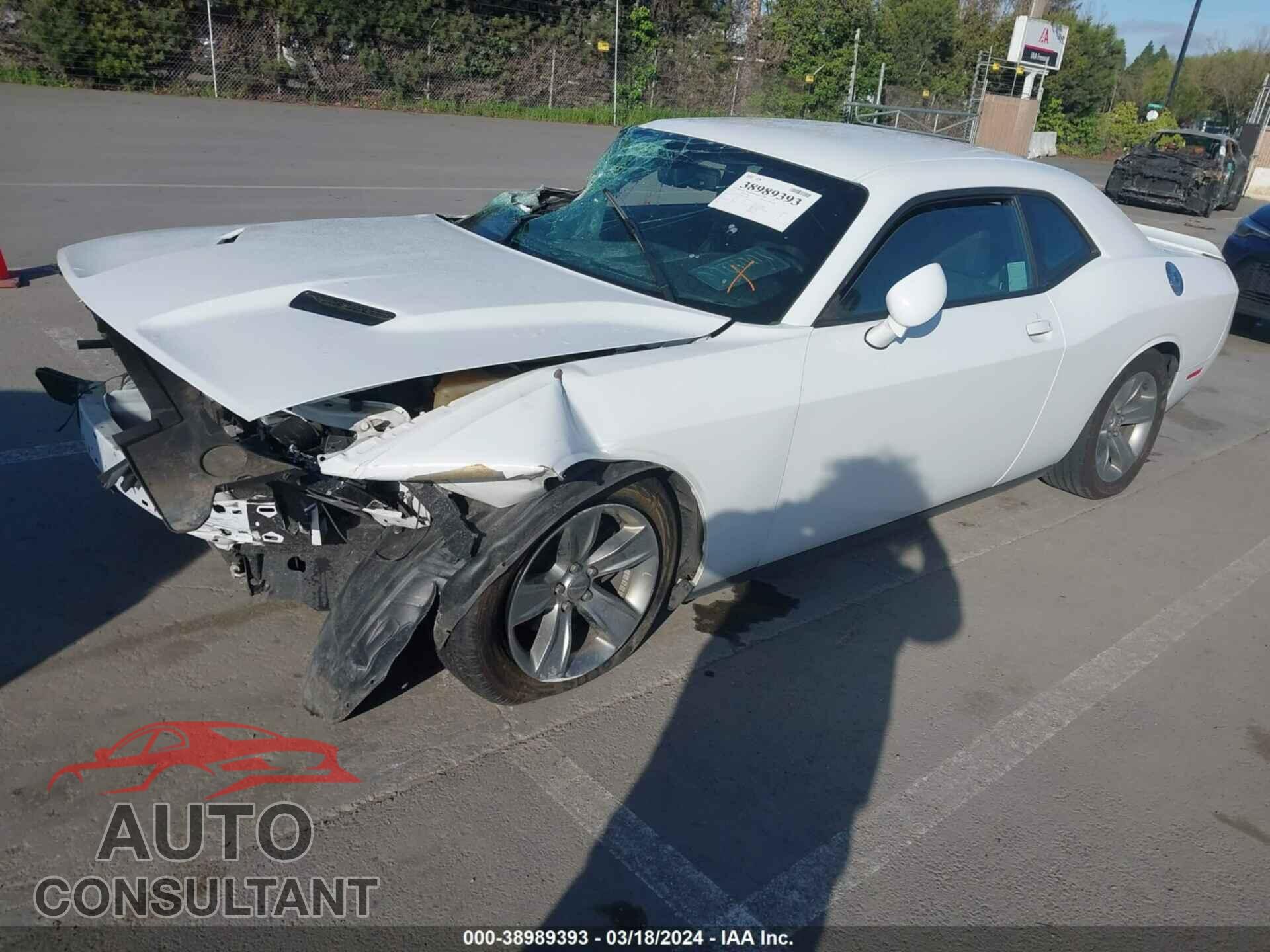 DODGE CHALLENGER 2019 - 2C3CDZAG4KH723399