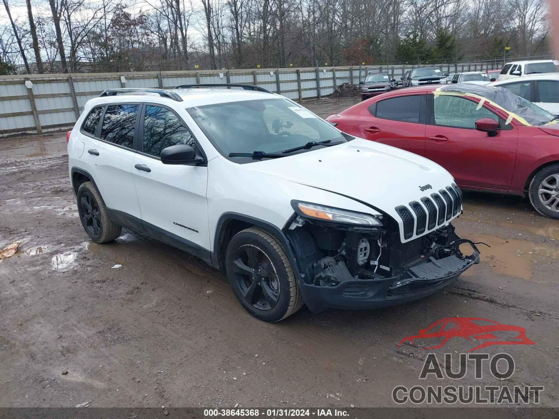 JEEP CHEROKEE 2016 - 1C4PJLAB1GW351360