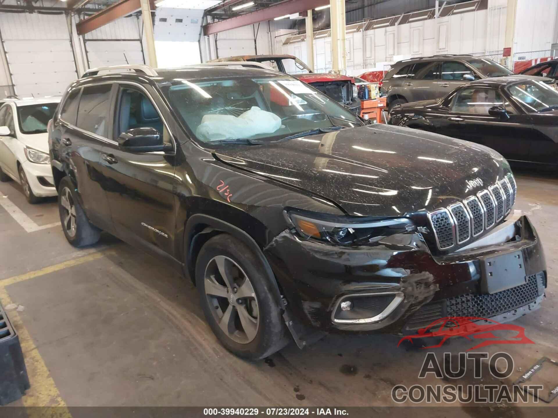 JEEP CHEROKEE 2019 - 1C4PJMDX3KD216673