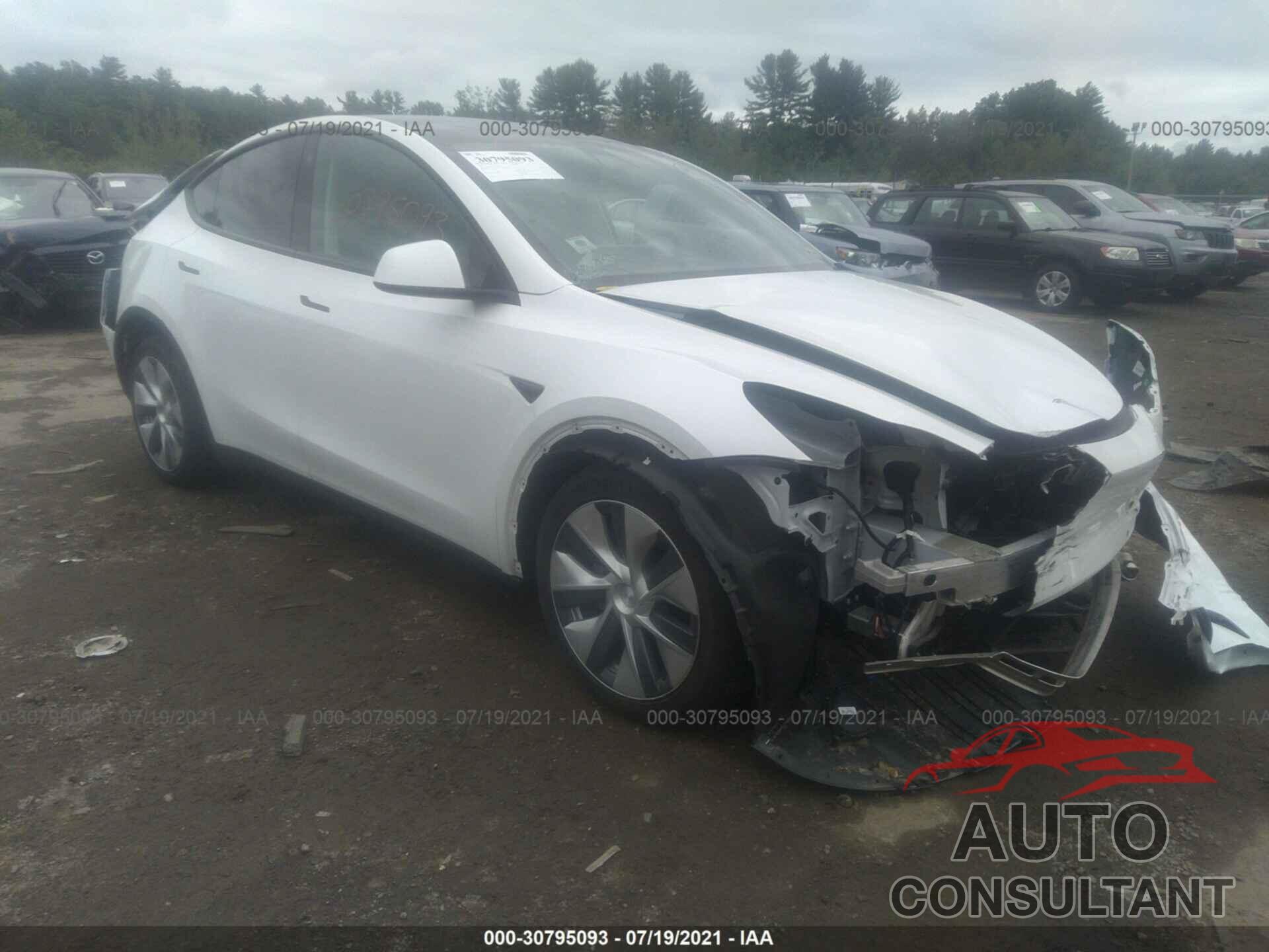 TESLA MODEL Y 2021 - 5YJYGDEE7MF069575