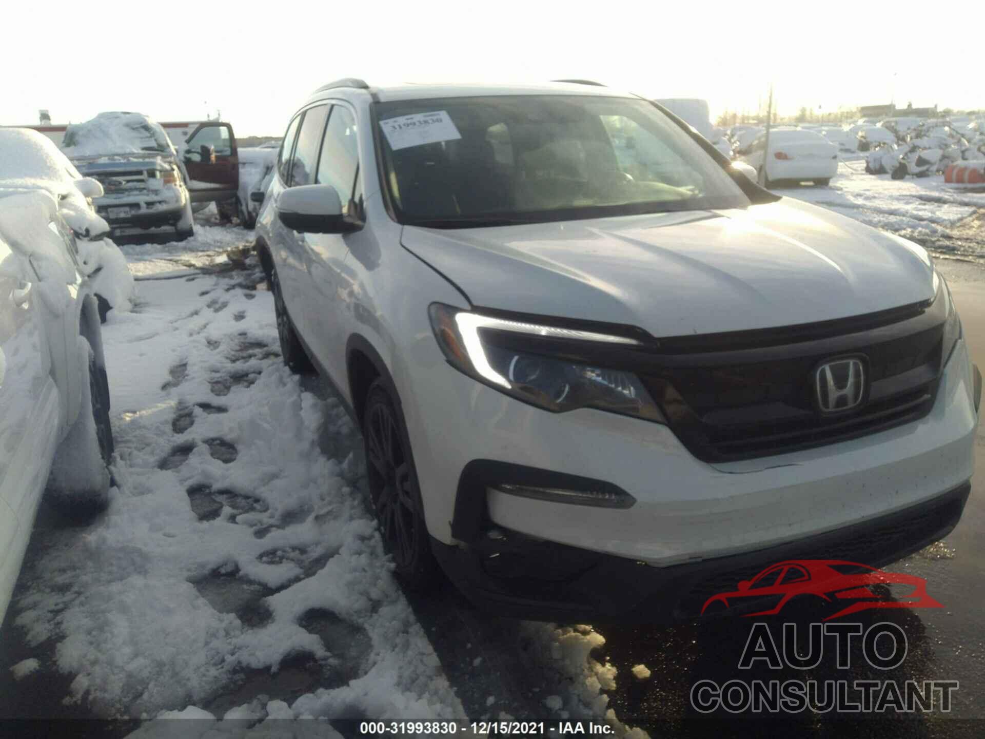 HONDA PILOT 2021 - 5FNYF6H26MB008931