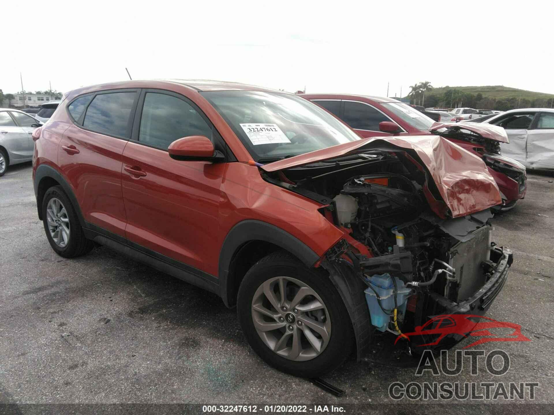 HYUNDAI TUCSON 2017 - KM8J23A45HU442614
