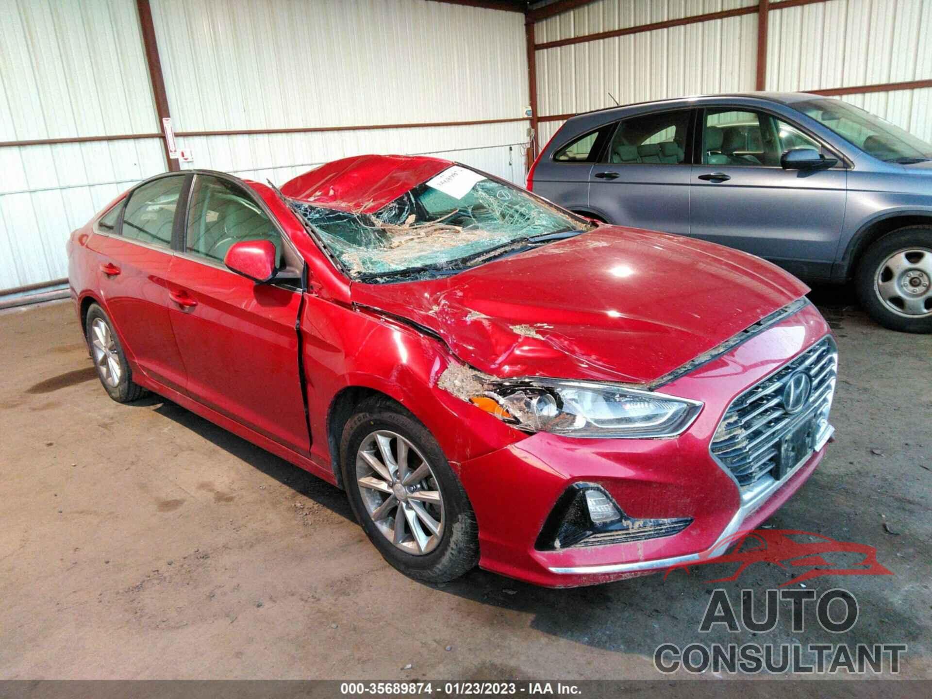 HYUNDAI SONATA 2019 - 5NPE24AF8KH793144