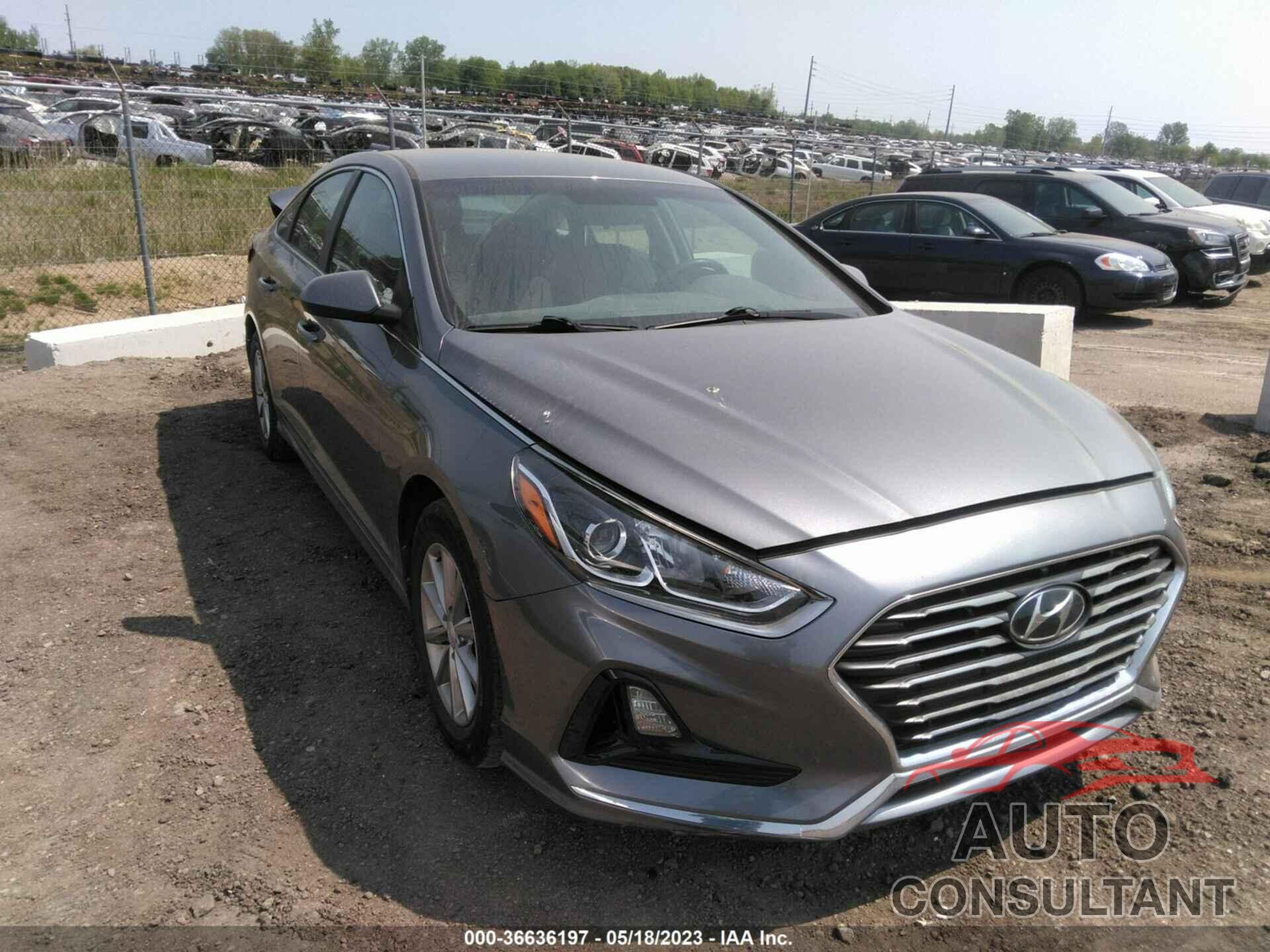 HYUNDAI SONATA 2019 - 5NPE24AF8KH760225