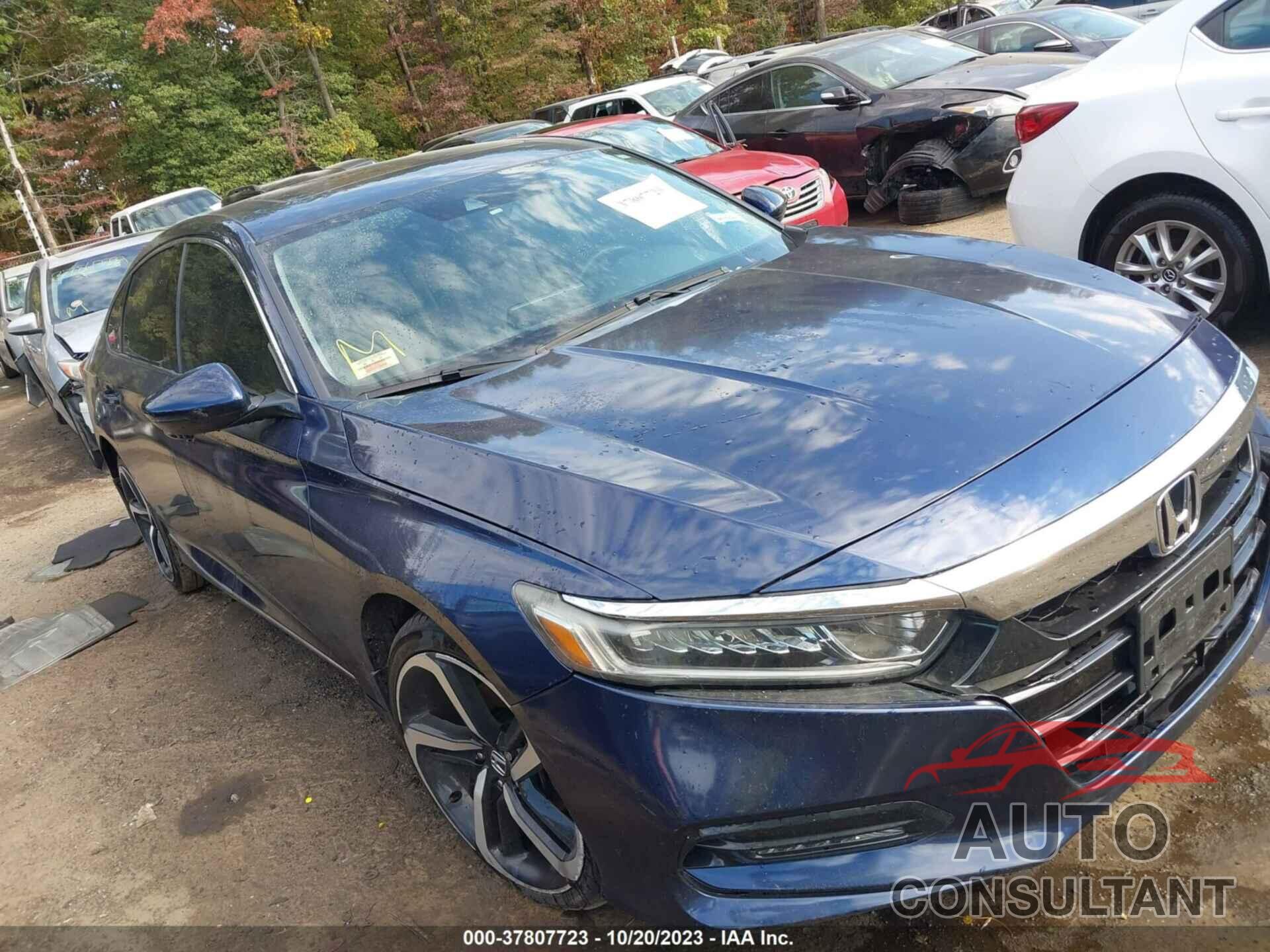 HONDA ACCORD 2019 - 1HGCV1F55KA006592