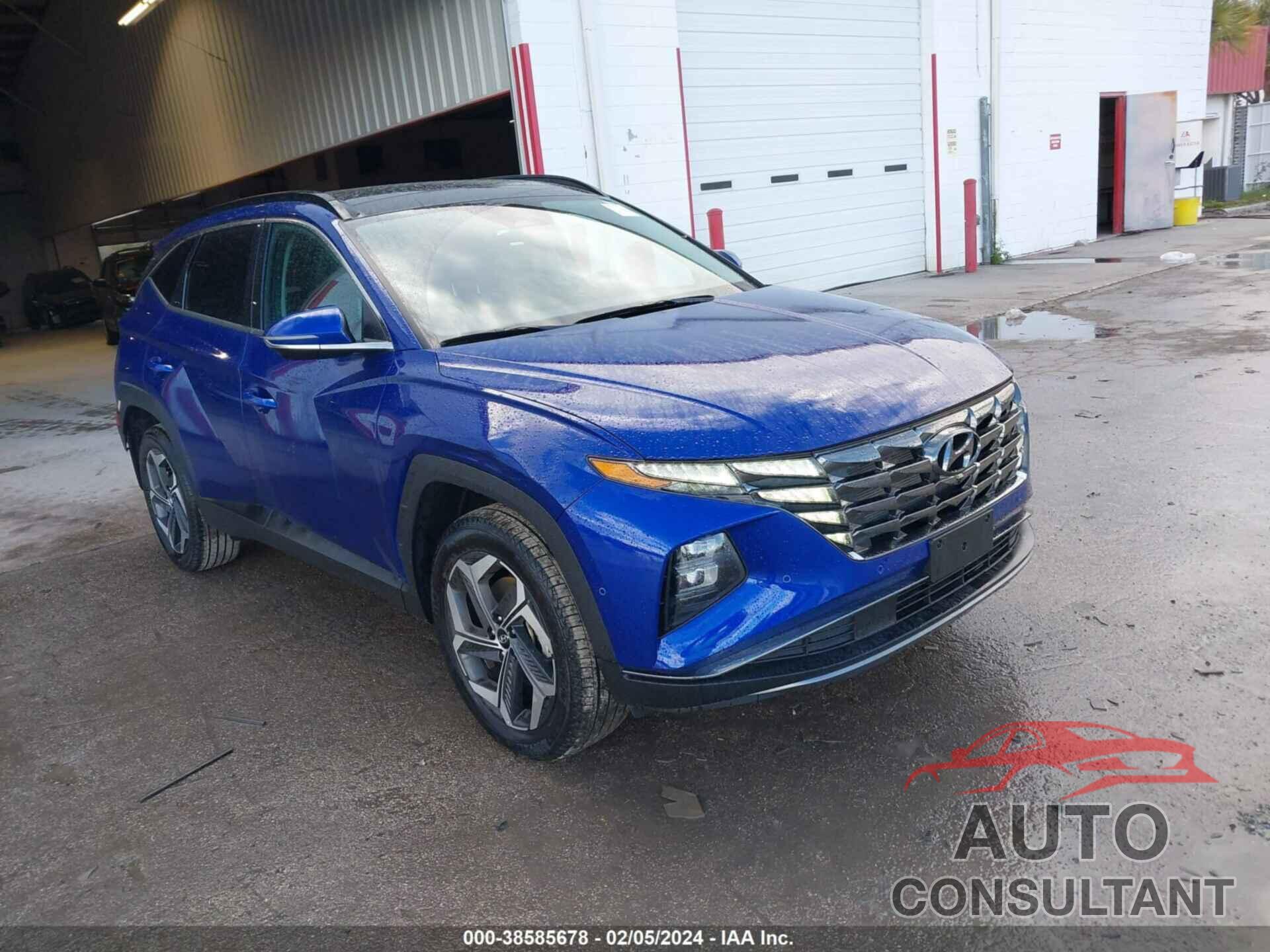 HYUNDAI TUCSON 2024 - 5NMJECDE1RH305646