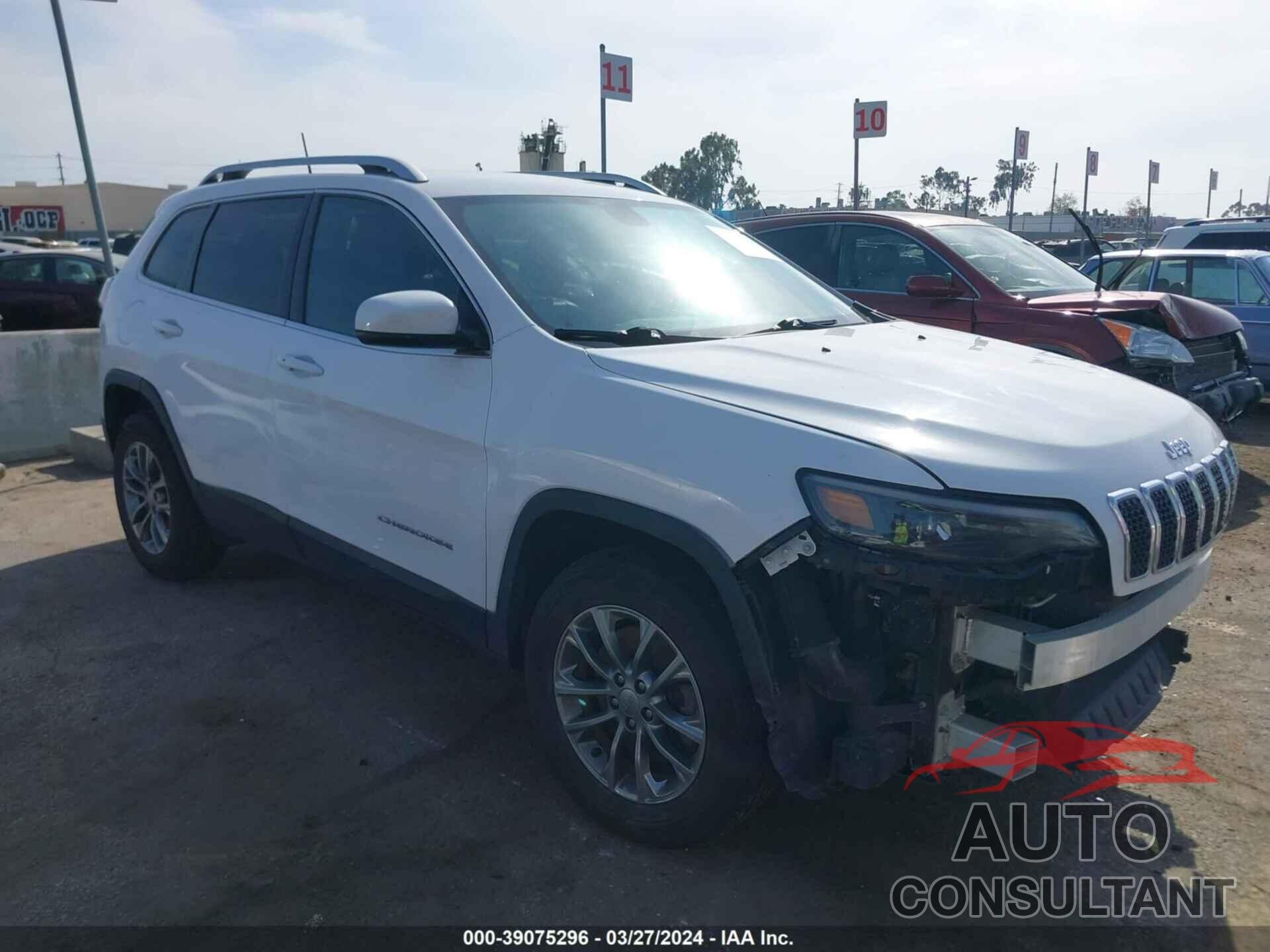 JEEP CHEROKEE 2019 - 1C4PJMLN8KD117010