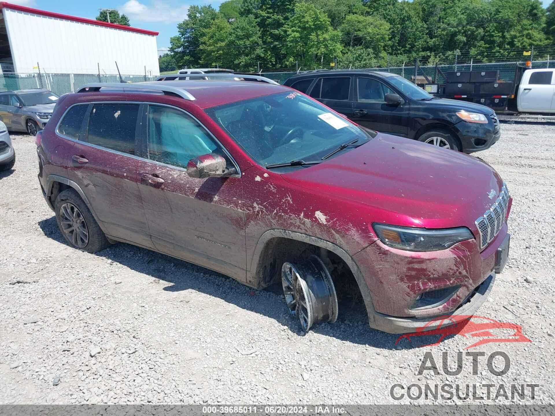 JEEP CHEROKEE 2019 - 1C4PJMLN3KD161593