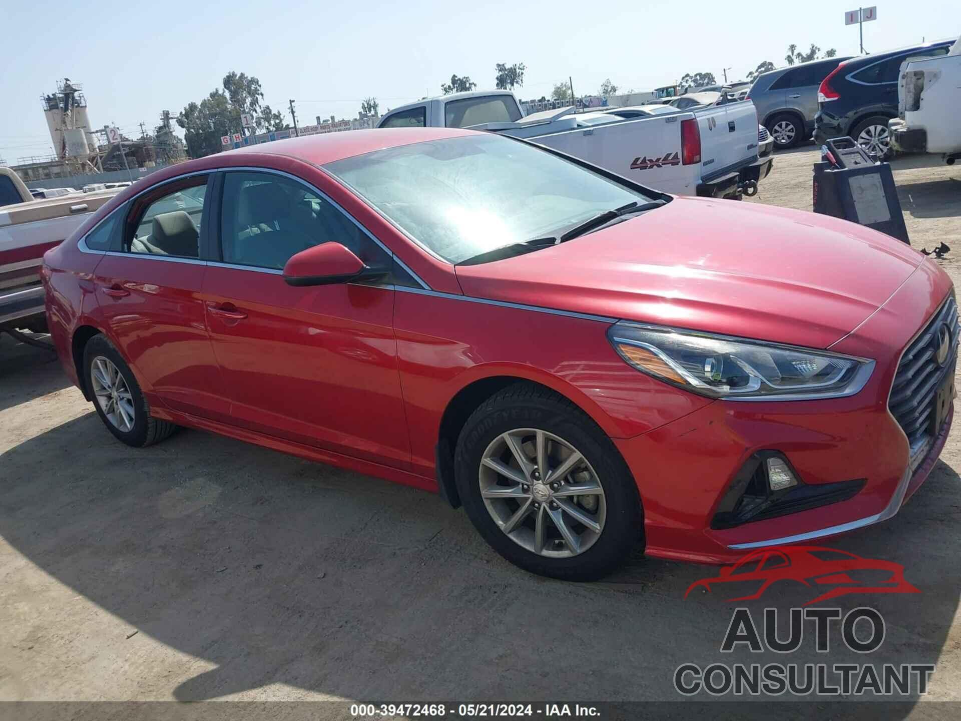 HYUNDAI SONATA 2019 - 5NPE24AF8KH729122