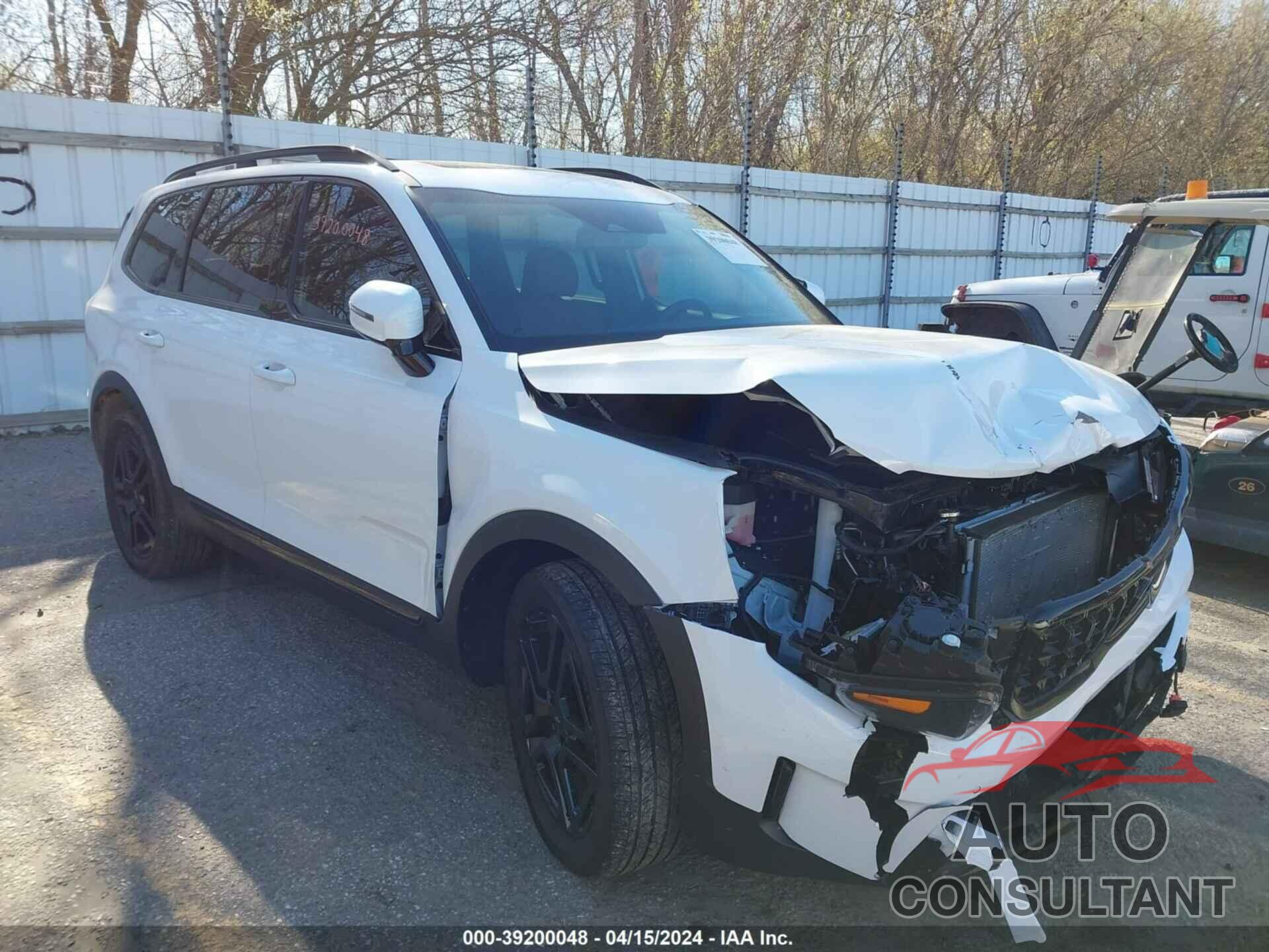 KIA TELLURIDE 2024 - 5XYP5DGCXRG418449