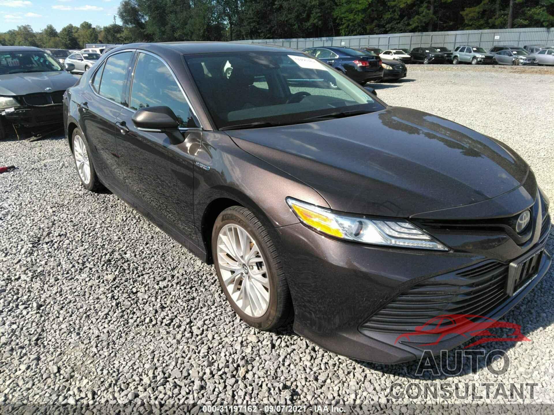 TOYOTA CAMRY 2019 - 4T1B21HK8KU013102