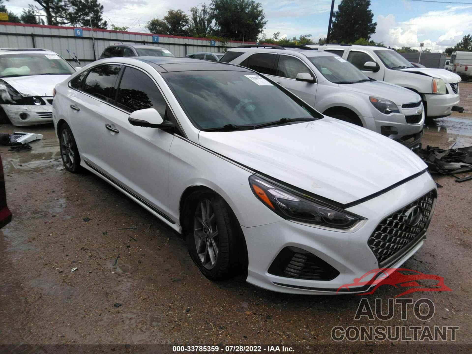 HYUNDAI SONATA 2019 - 5NPE34AB5KH752061