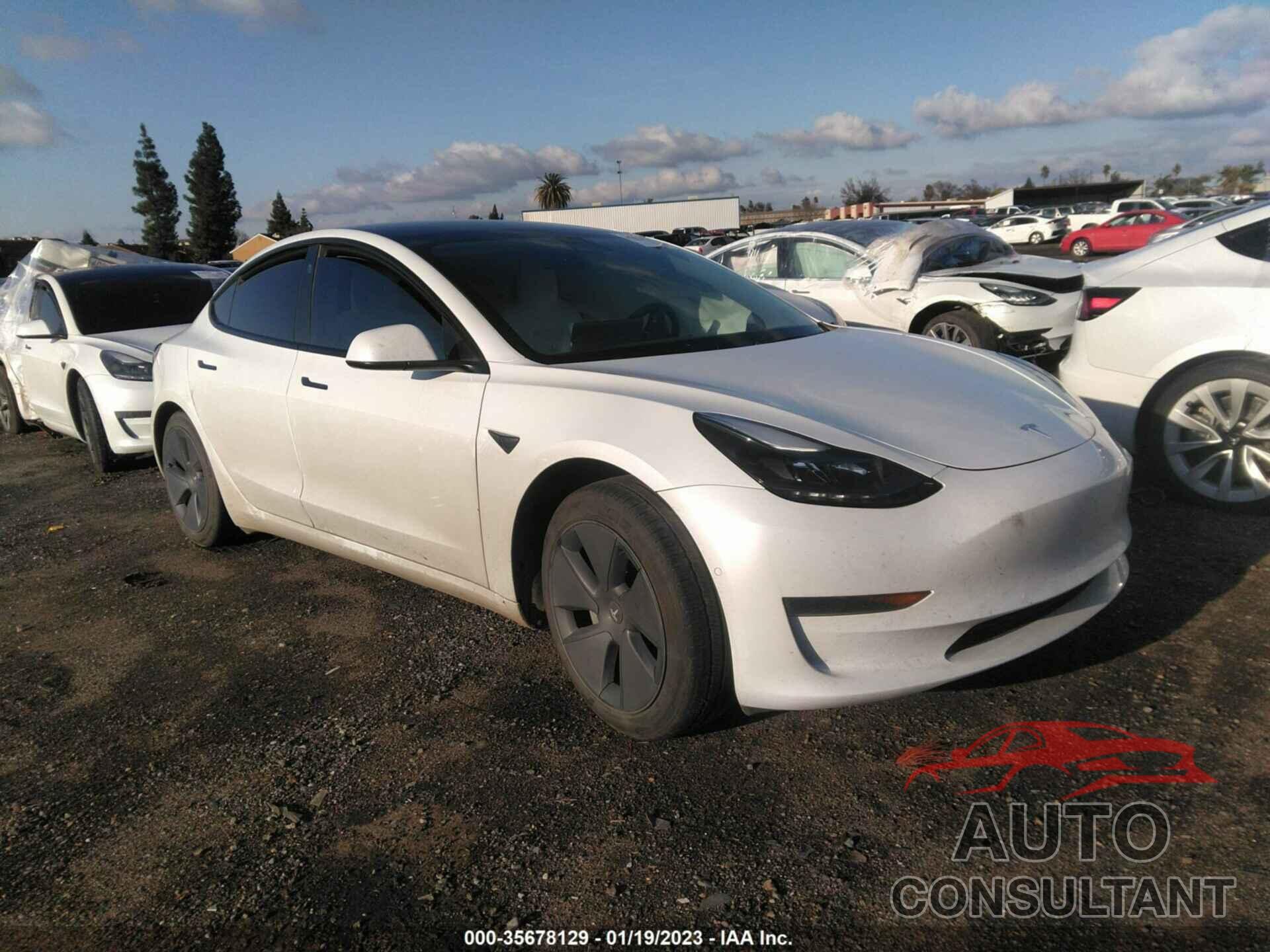 TESLA MODEL 3 2021 - 5YJ3E1EA3MF067897