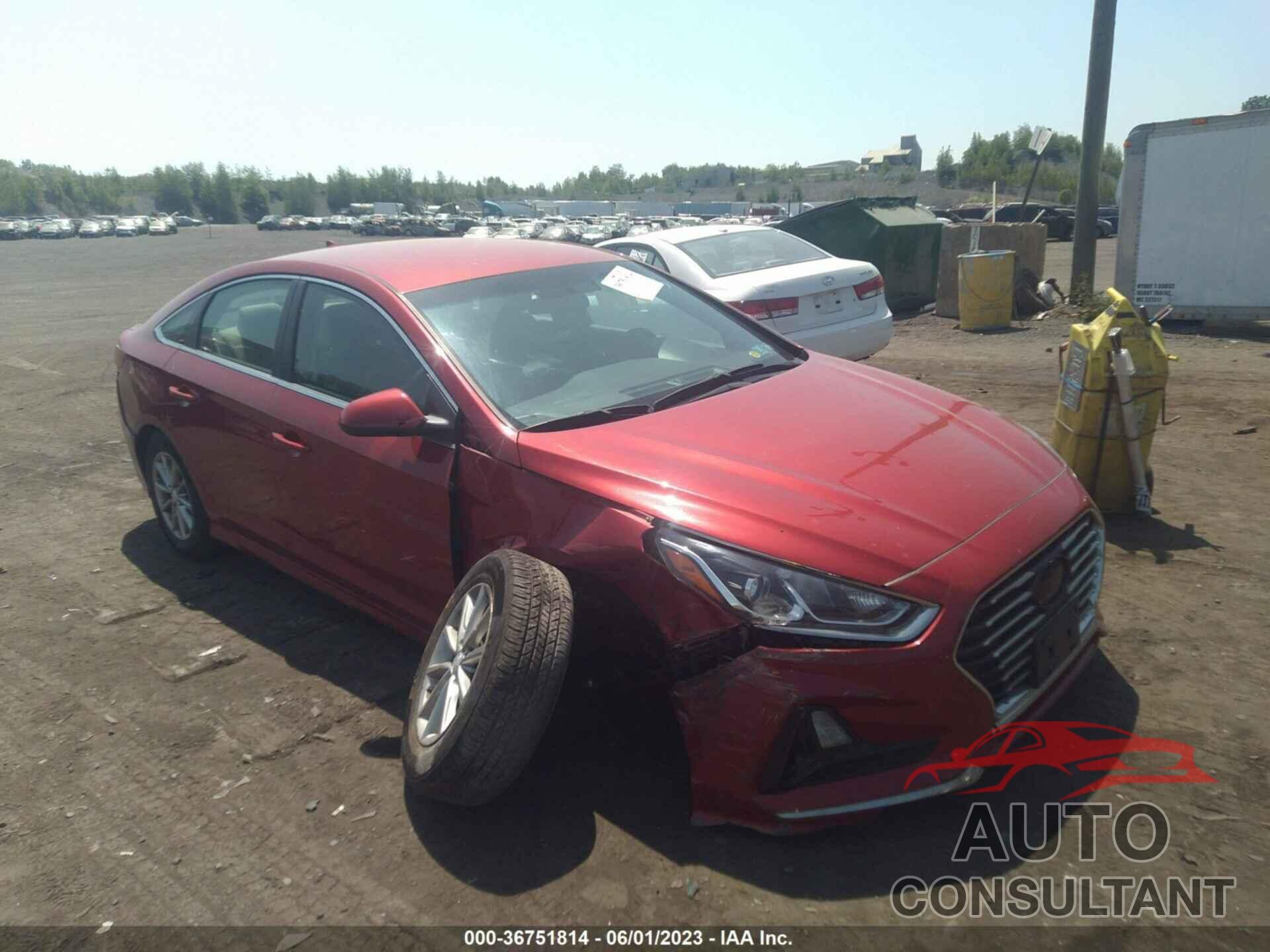 HYUNDAI SONATA 2018 - 5NPE24AF3JH616984