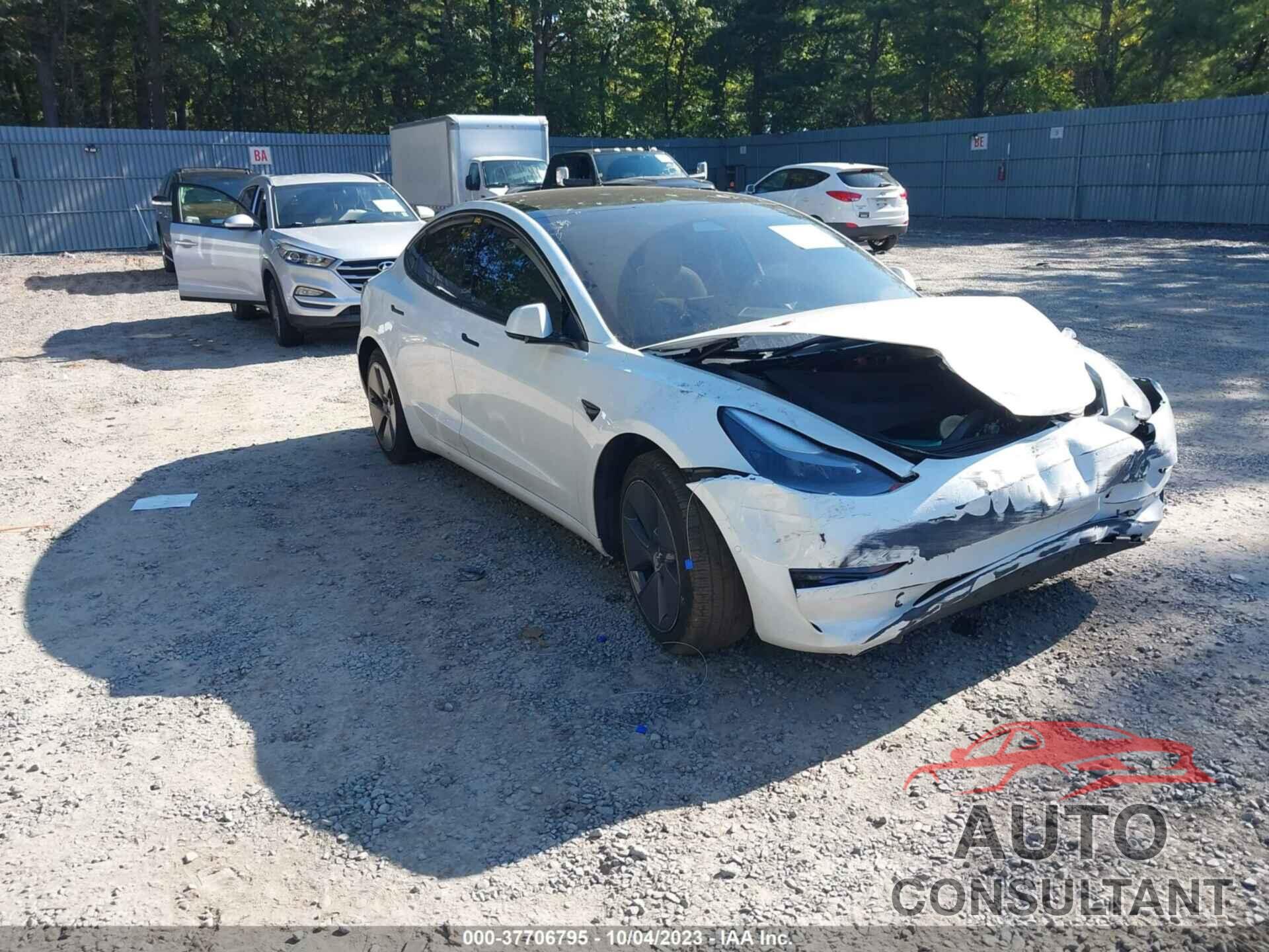TESLA MODEL 3 2021 - 5YJ3E1EA9MF060775