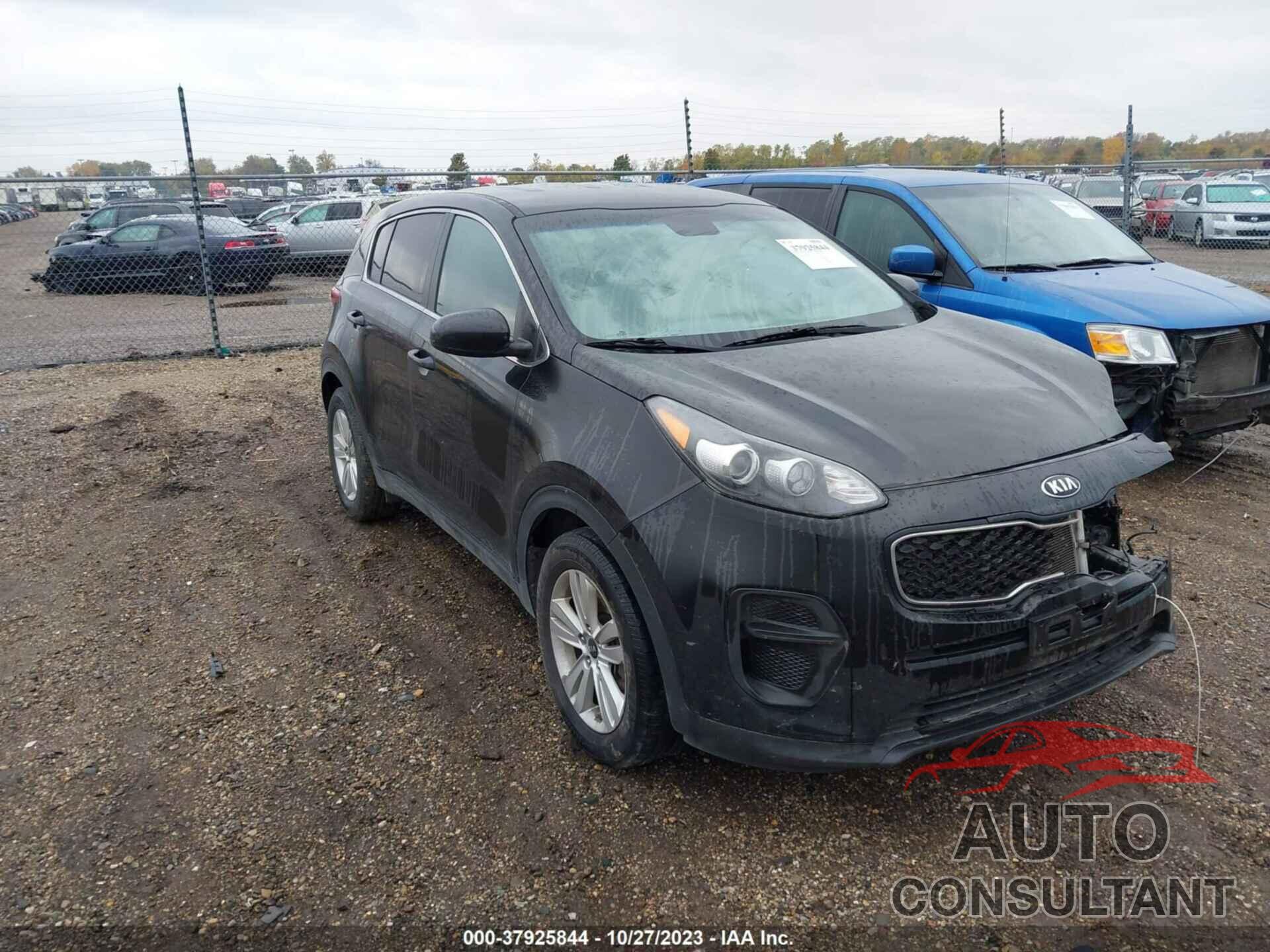 KIA SPORTAGE 2017 - KNDPM3AC4H7065997