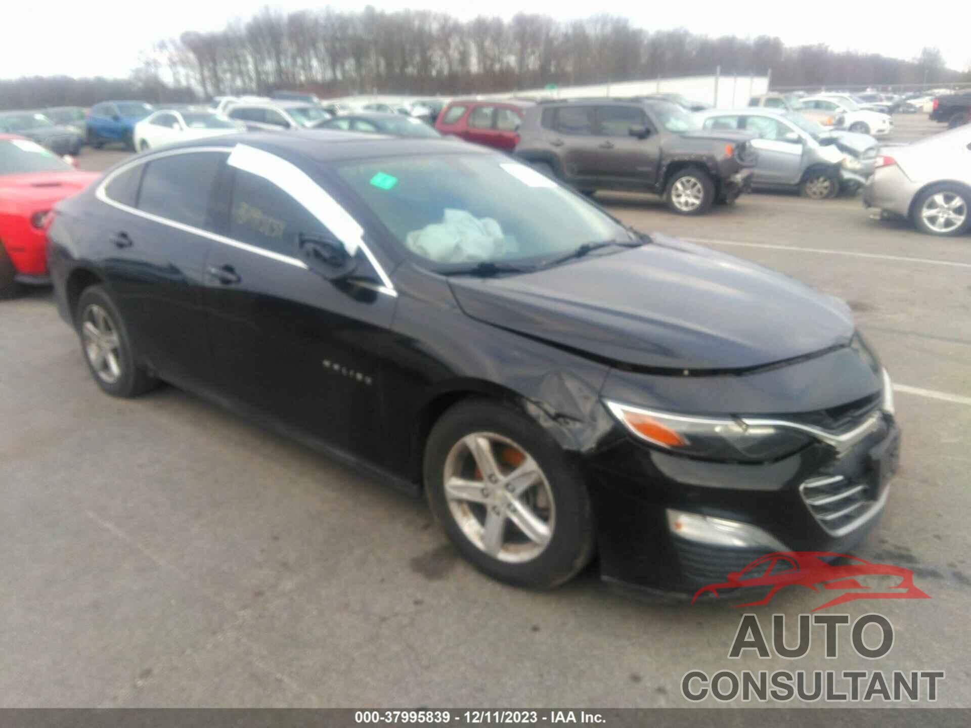 CHEVROLET MALIBU 2019 - 1G1ZC5ST7KF180525
