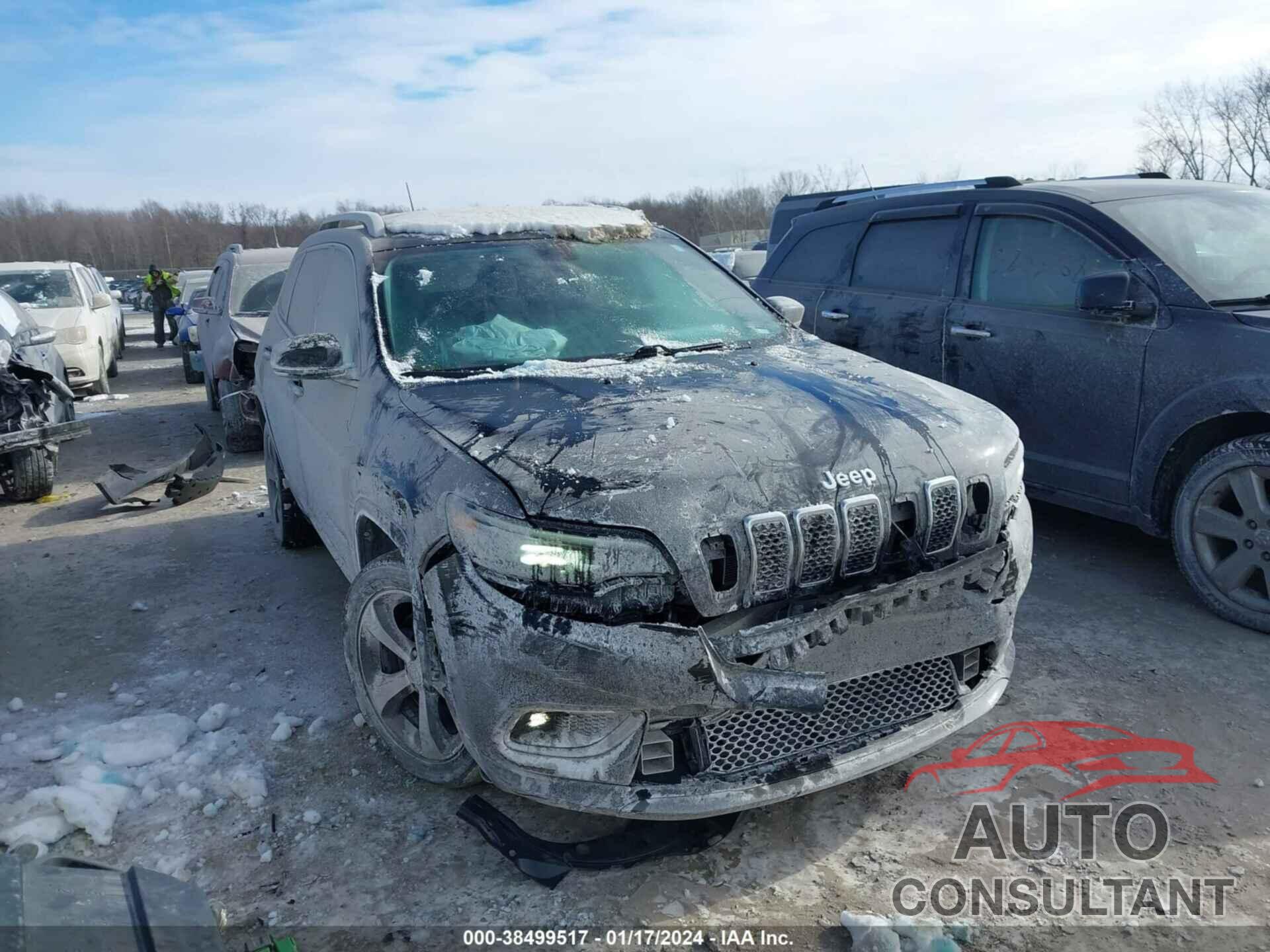 JEEP CHEROKEE 2019 - 1C4PJLDB3KD387311