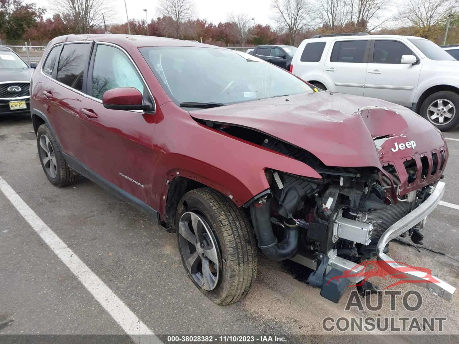 JEEP CHEROKEE 2019 - 1C4PJMDN0KD231484